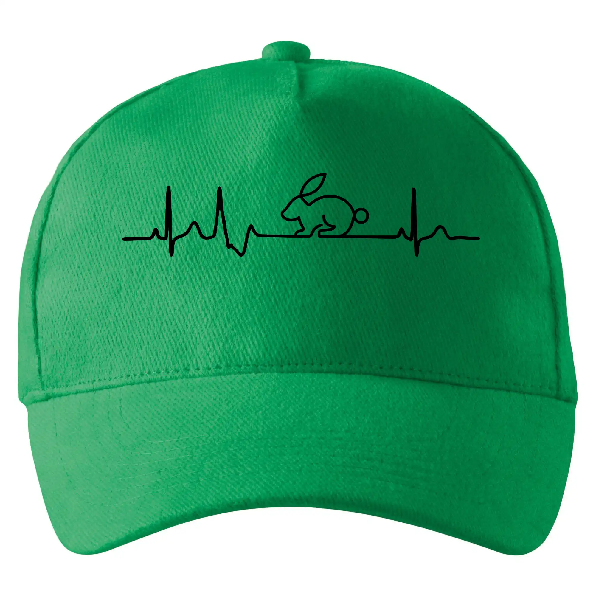 EKG králík