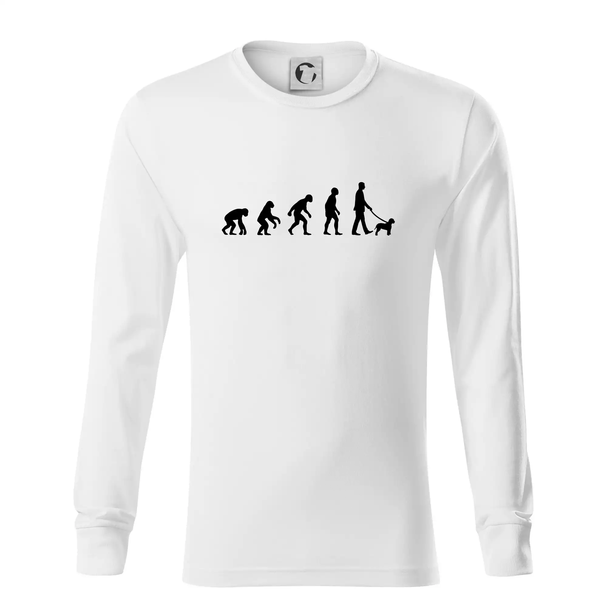 Lagotto romagnolo Evoluce