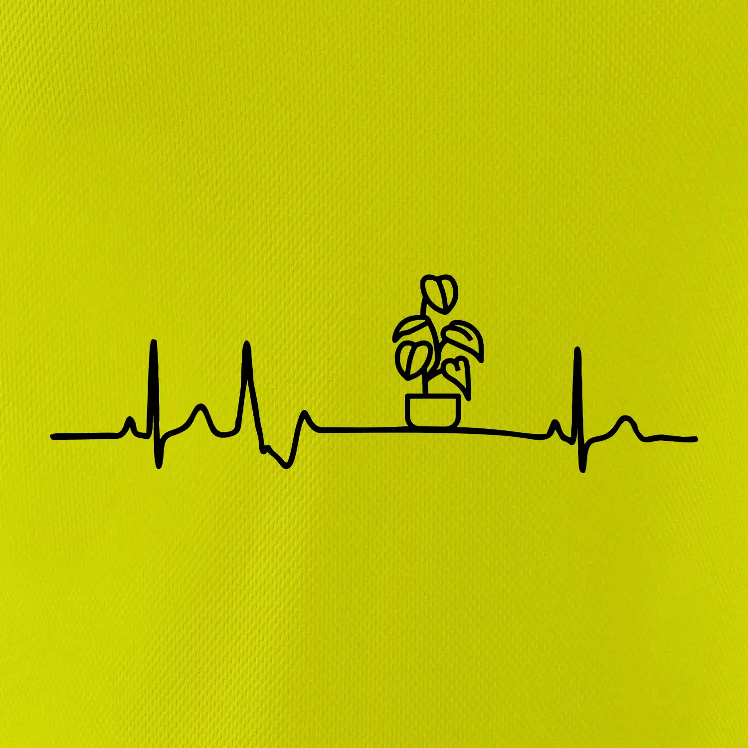 EKG Filodendron