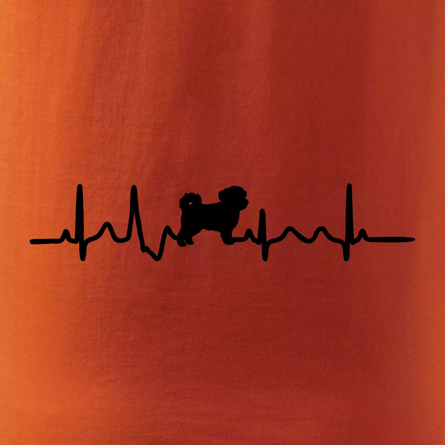 Havanský psík ekg