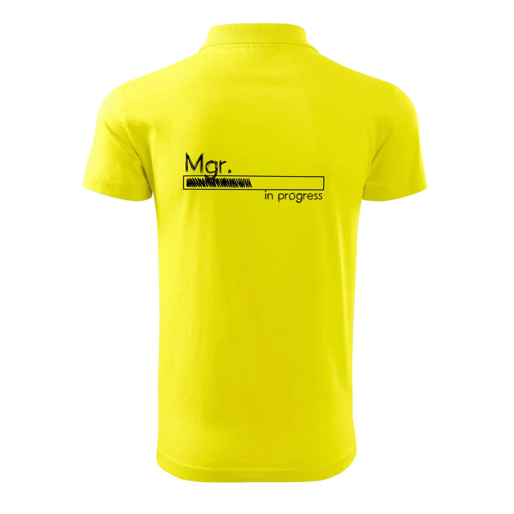 In progress titul Mgr.  magistr / magistra