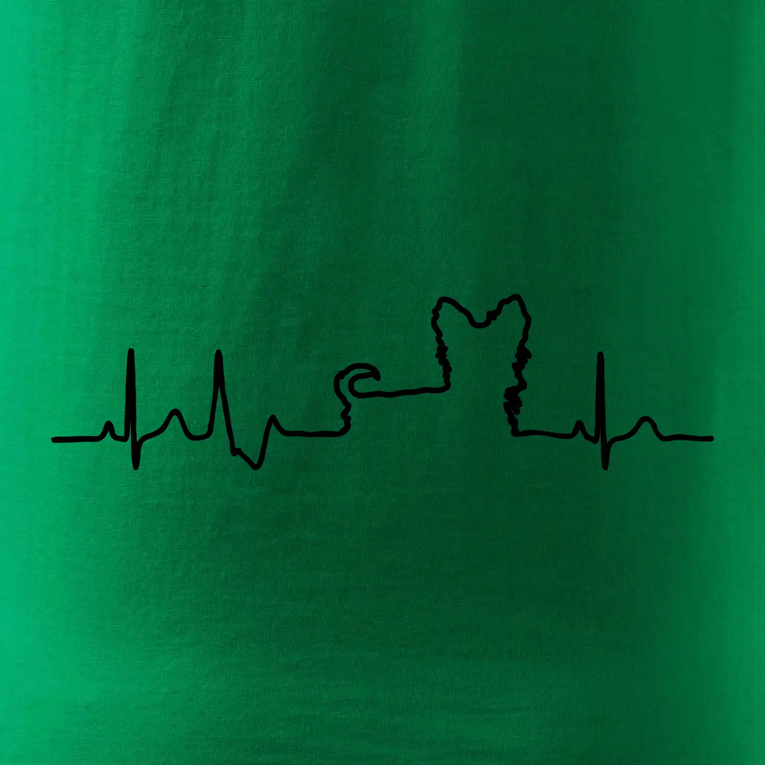 Jorkšírský teriér EKG