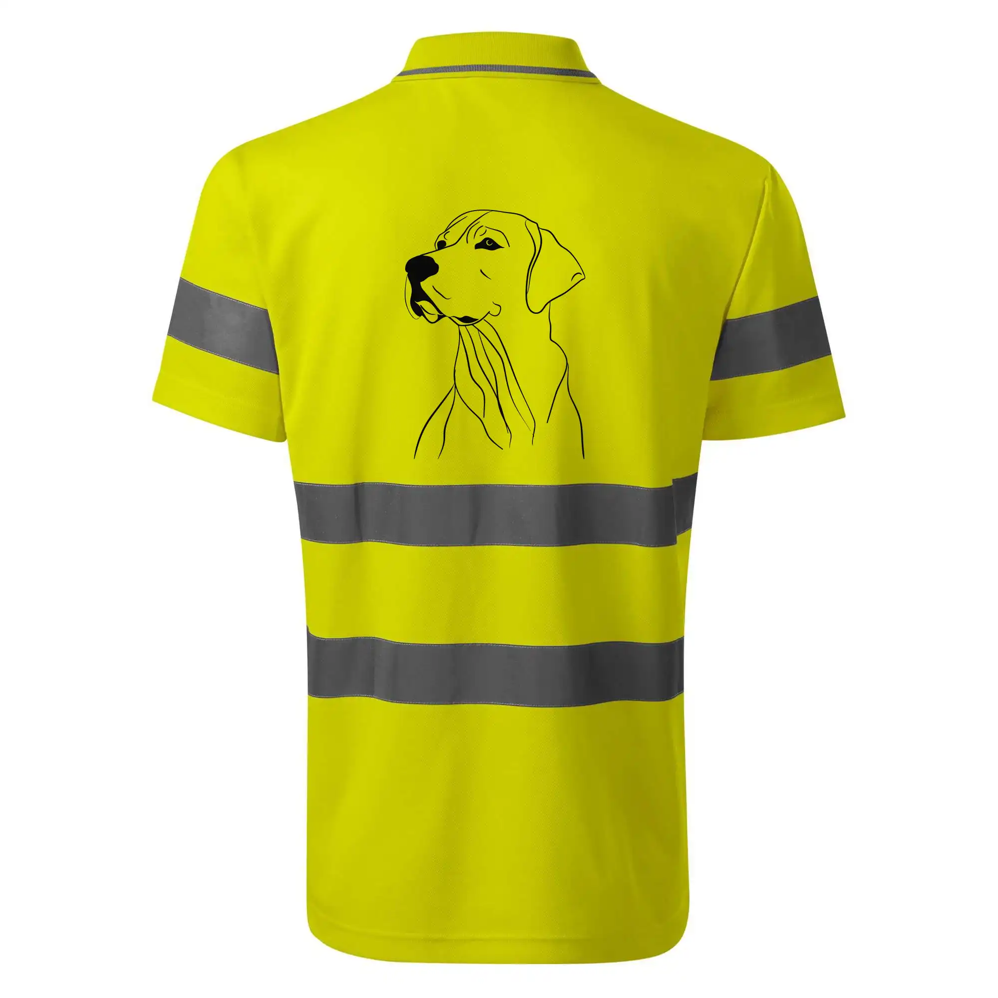 Labrador černá kresba