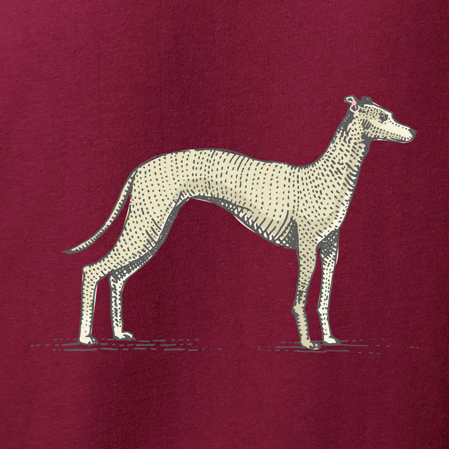 Vintage Whippet