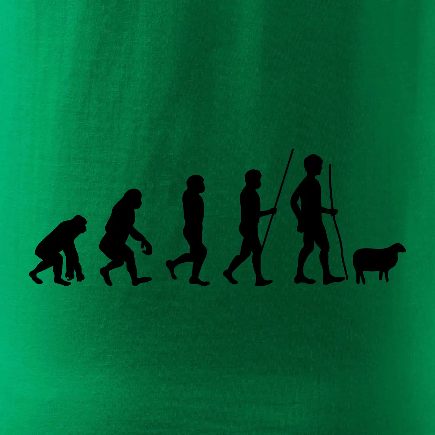 Evoluce pastevec ovcí