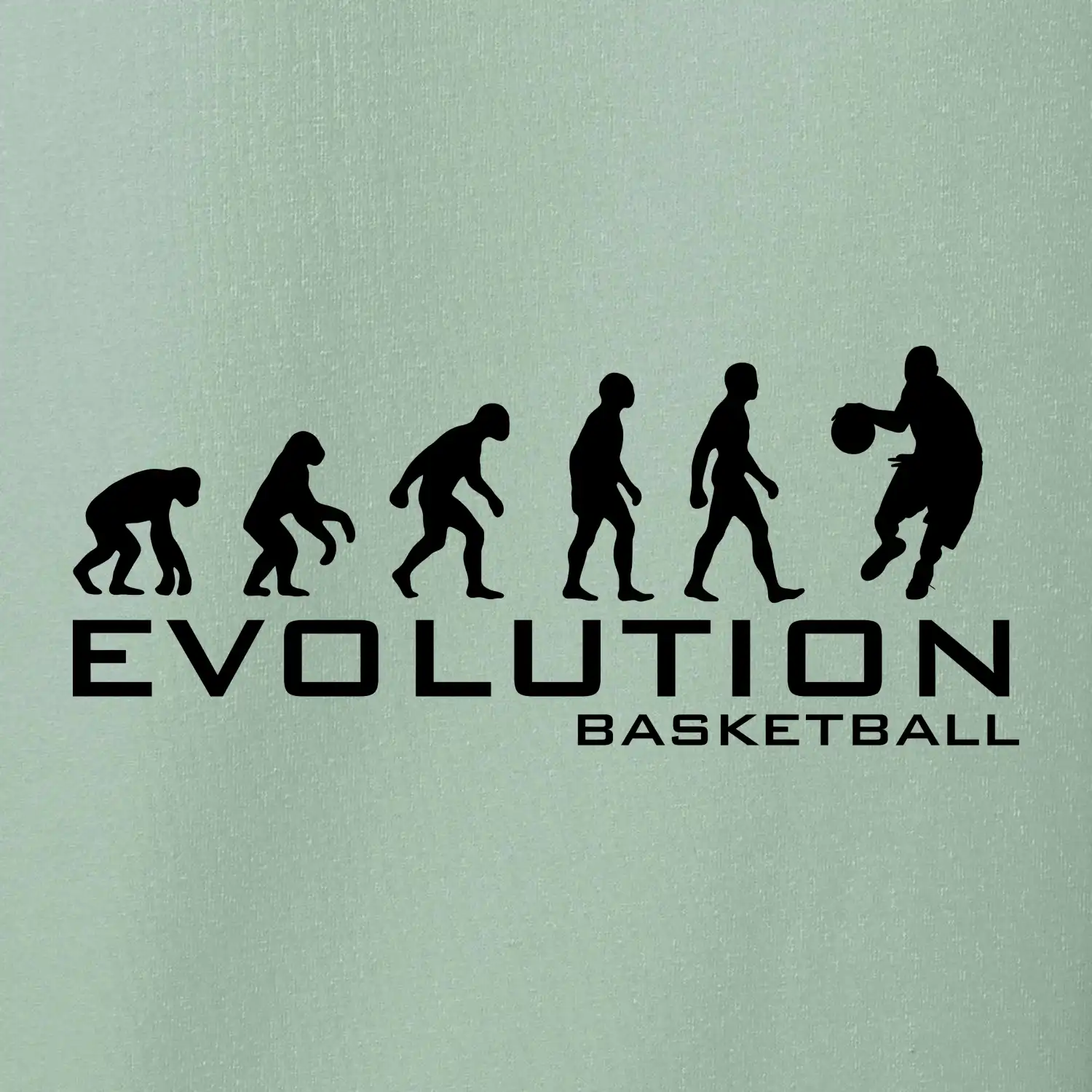 Evoluce Basketball