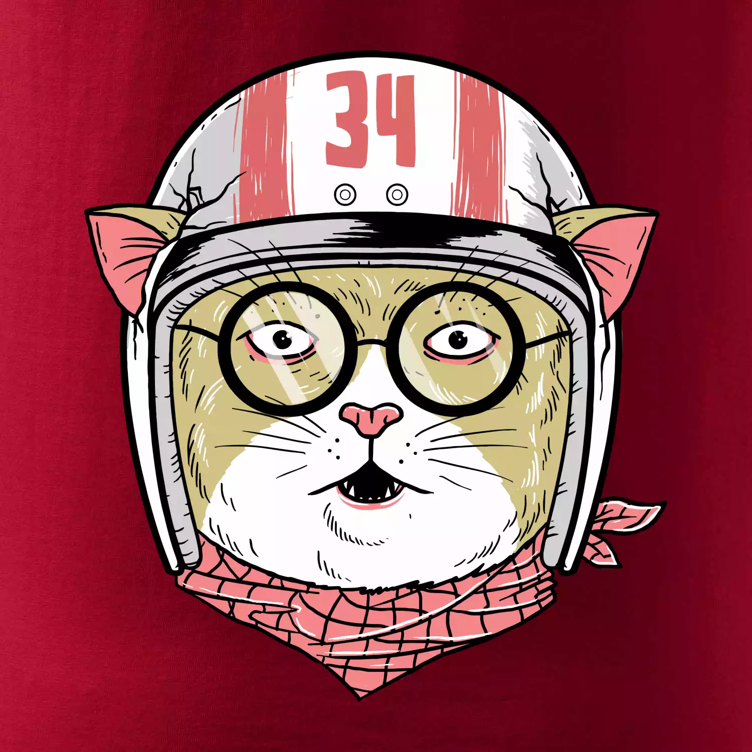 Moto kočka