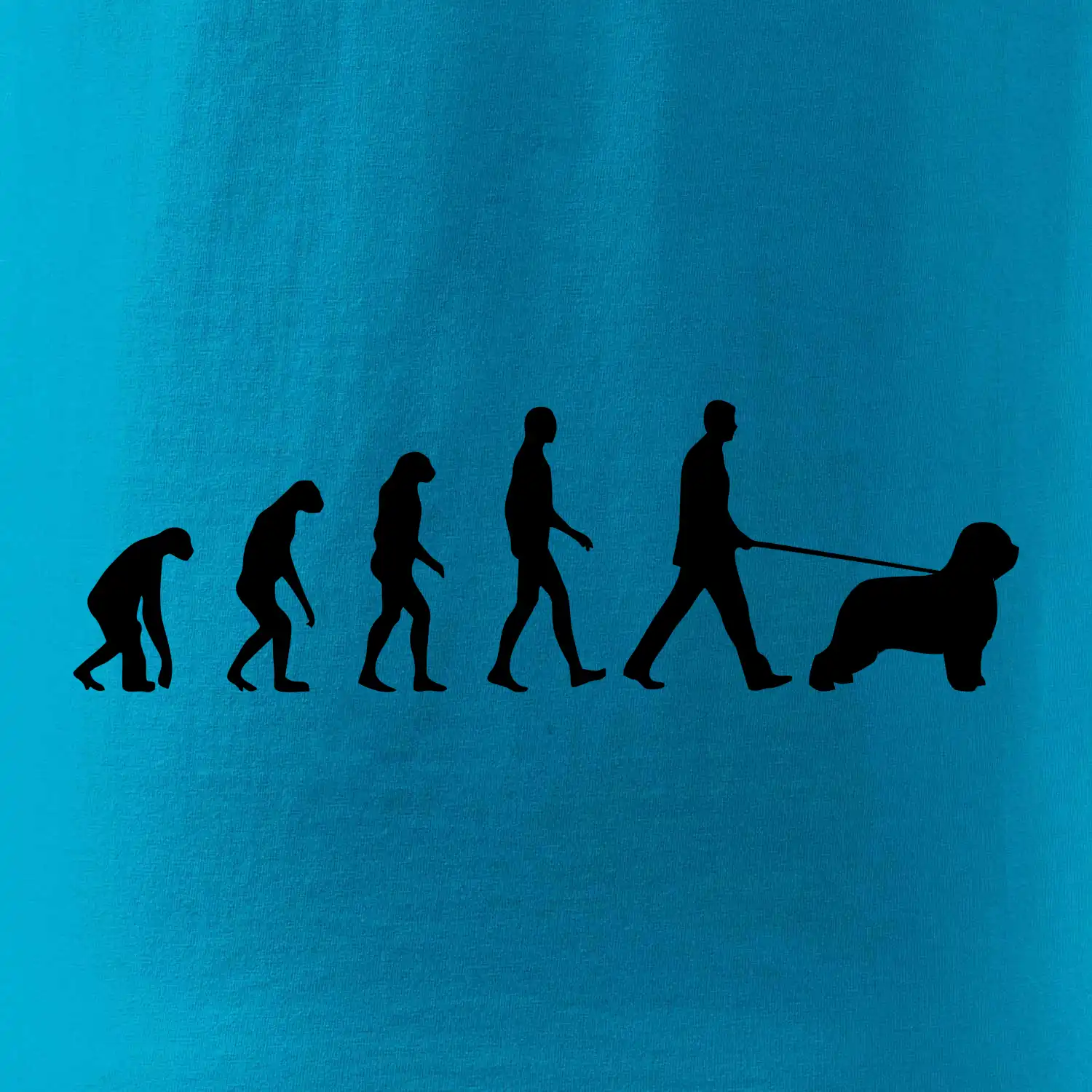 Evoluce pes Briard