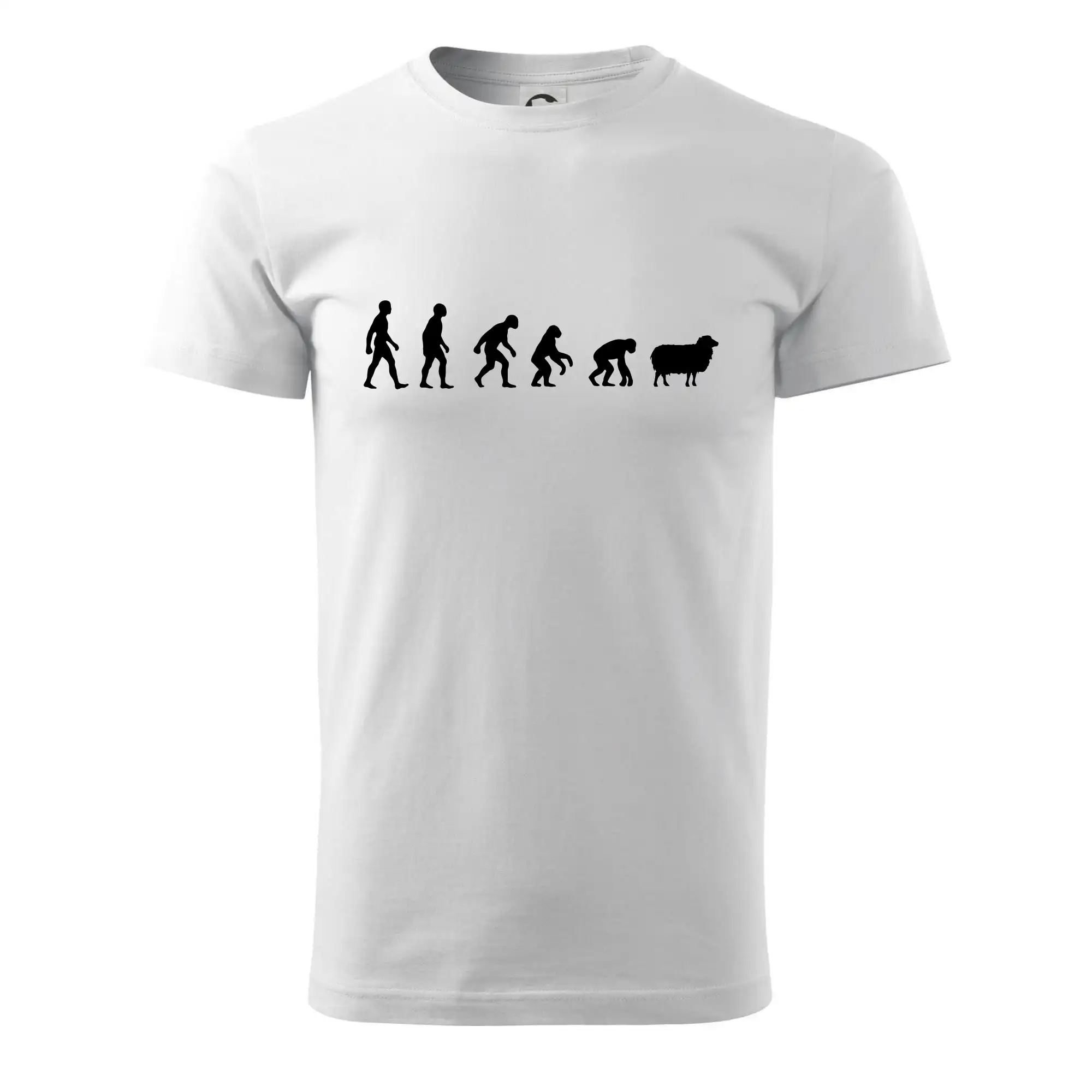 Evoluce ovce