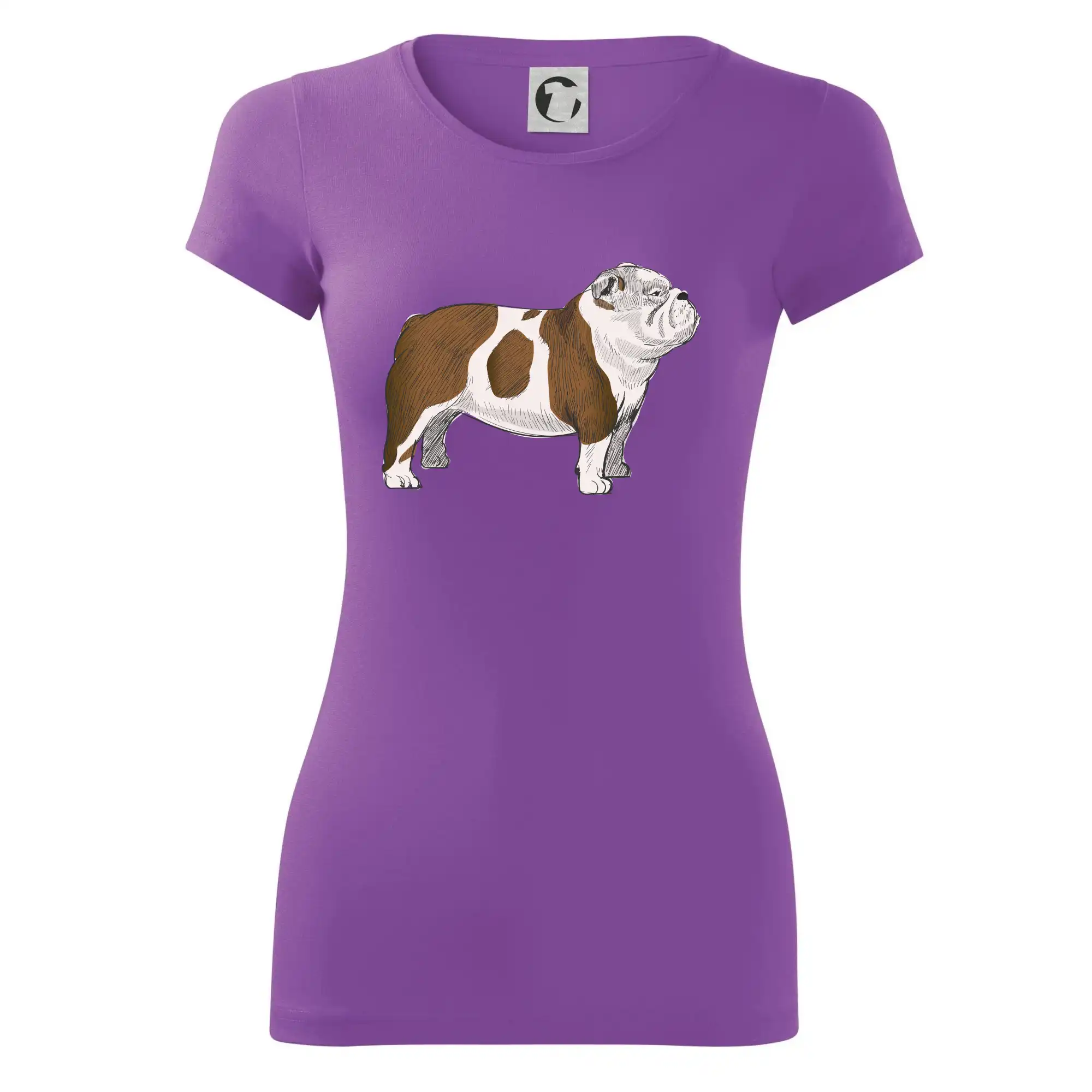 Vintage English bulldog