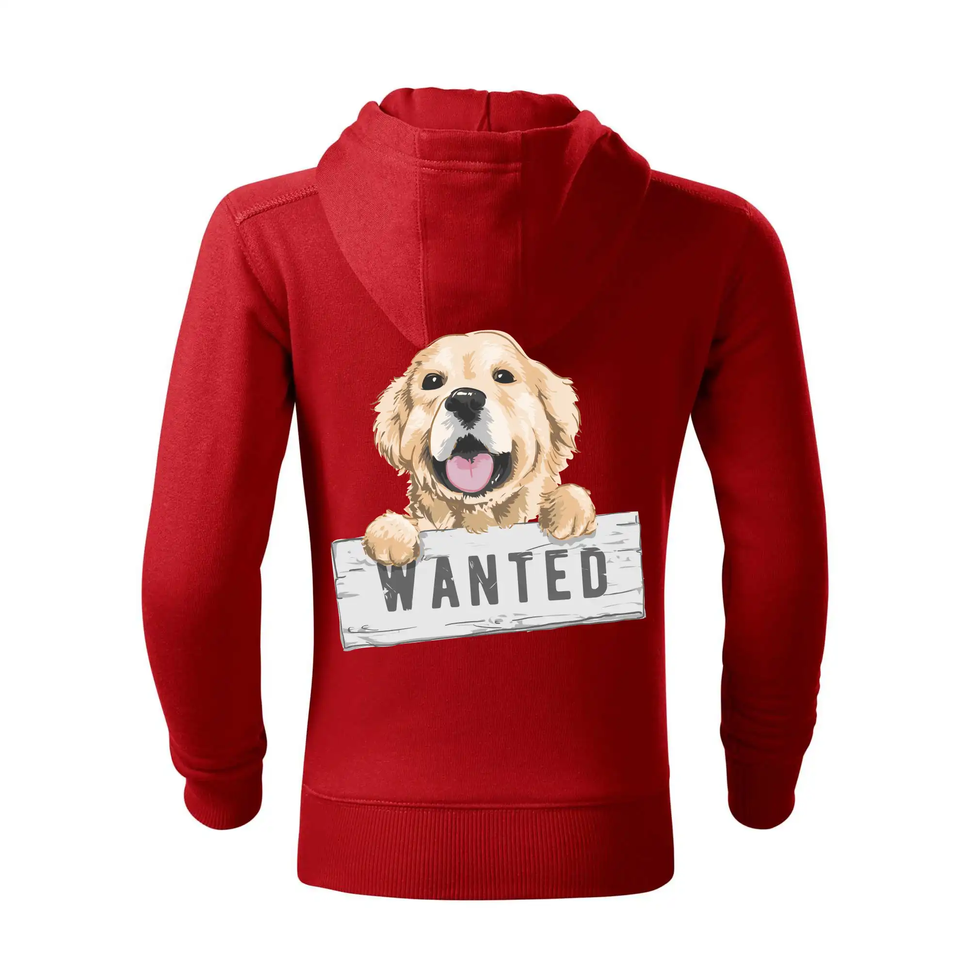 Zlatý retriever - štěně wanted