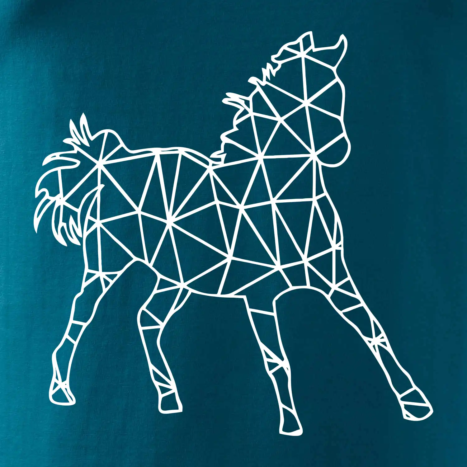 Geometrie - kůň jednobarevná