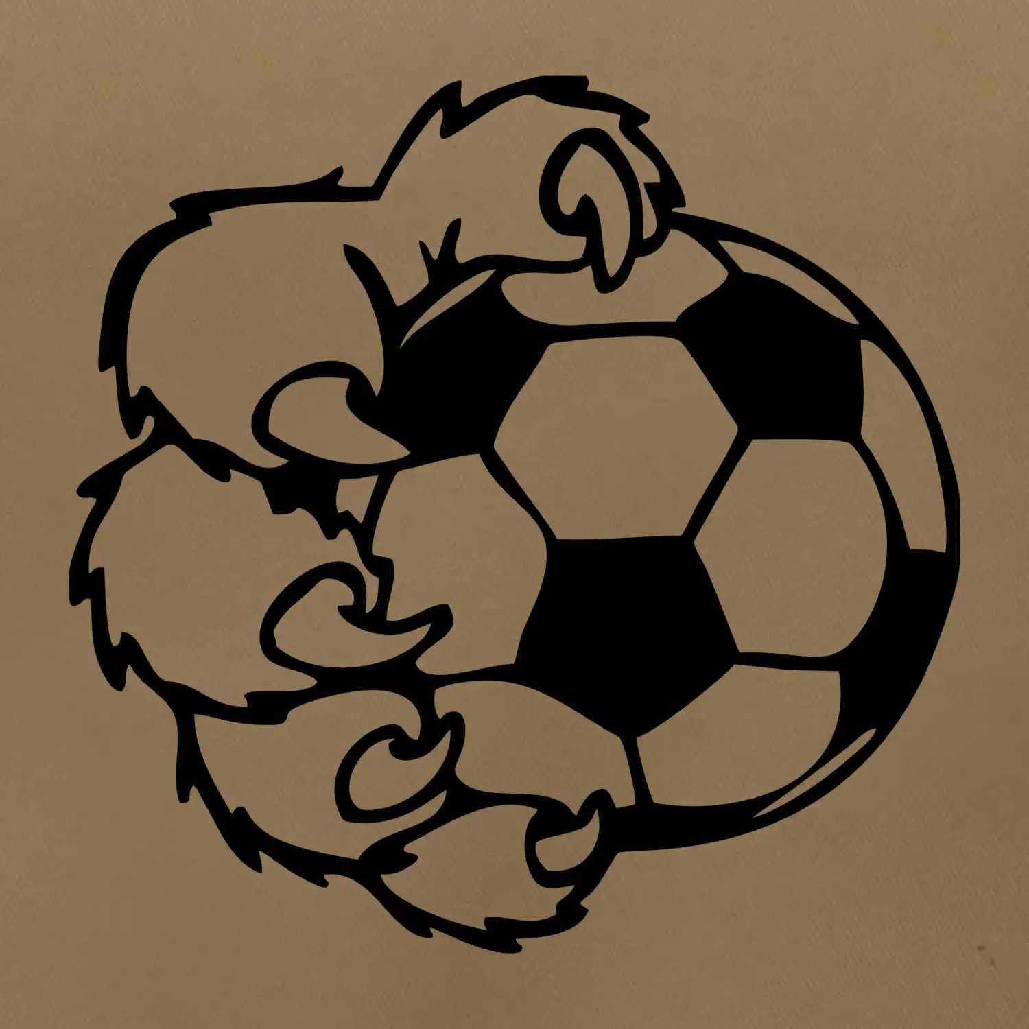 Medvědí tlapa fotbal