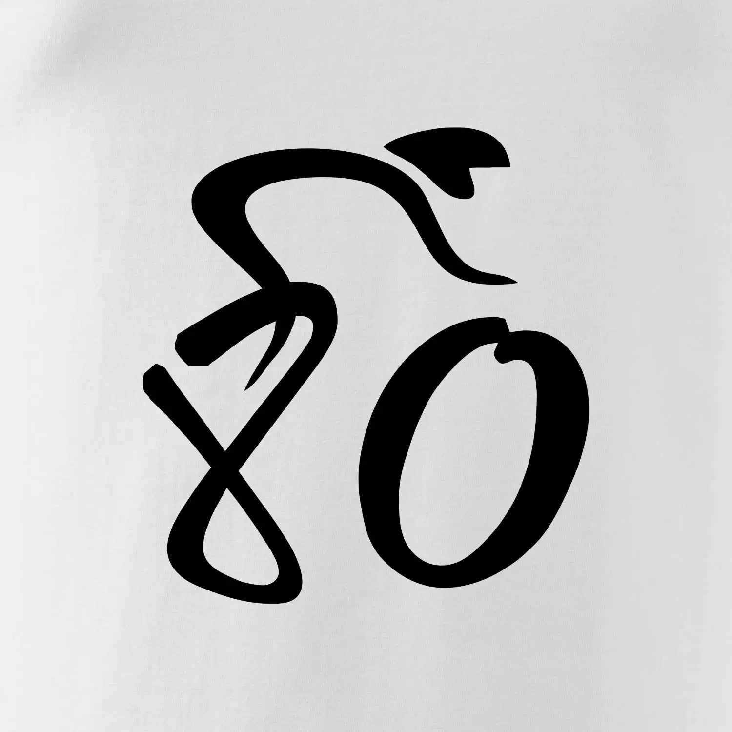 Cyklista slaví osmdesátiny (80)