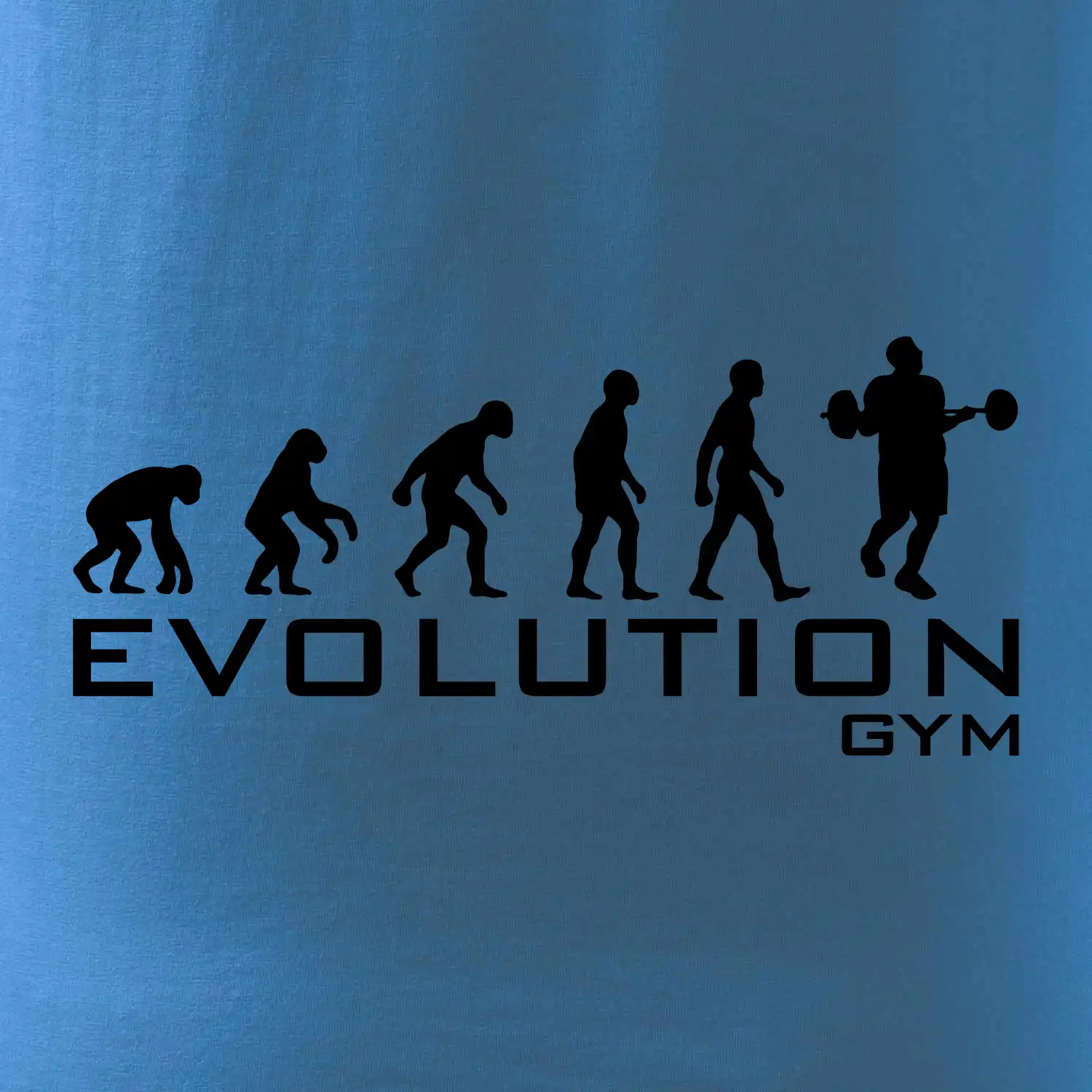 Evoluce Gym