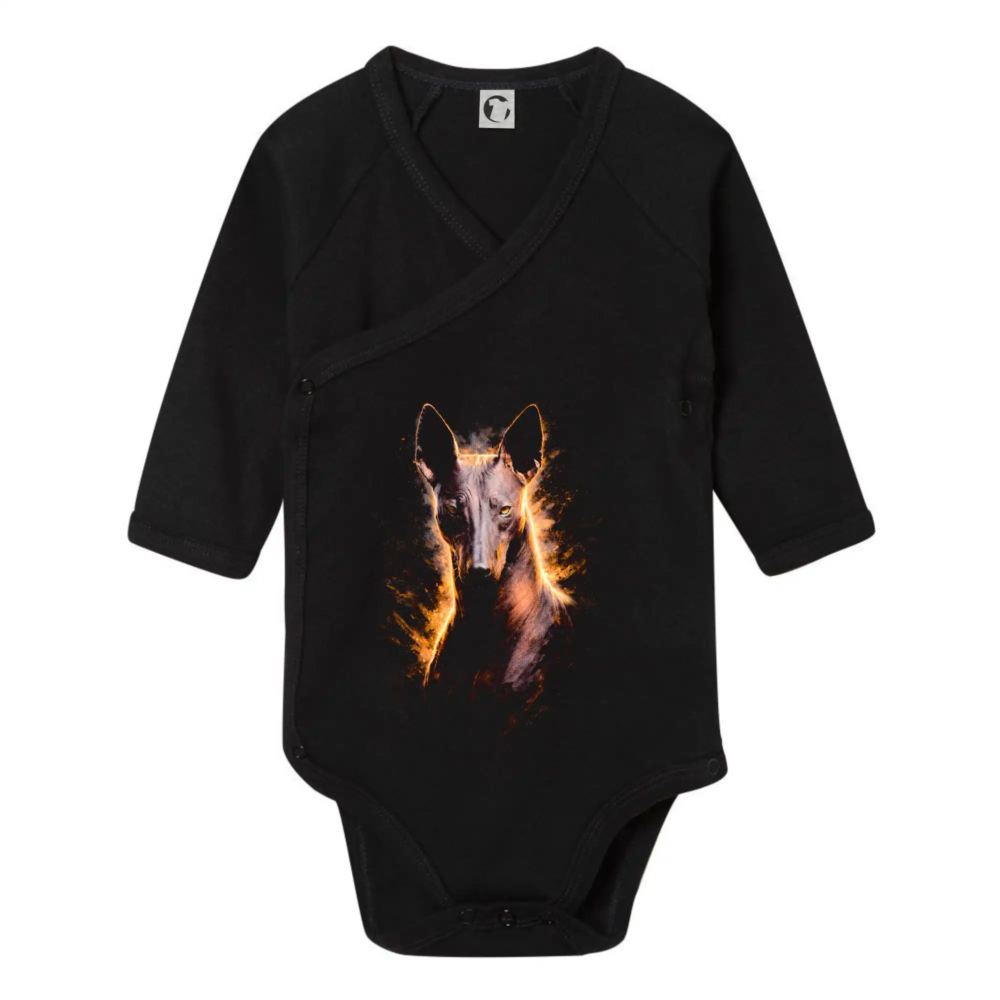 Obrázek polotón Xoloitzcuintli mexický naháč