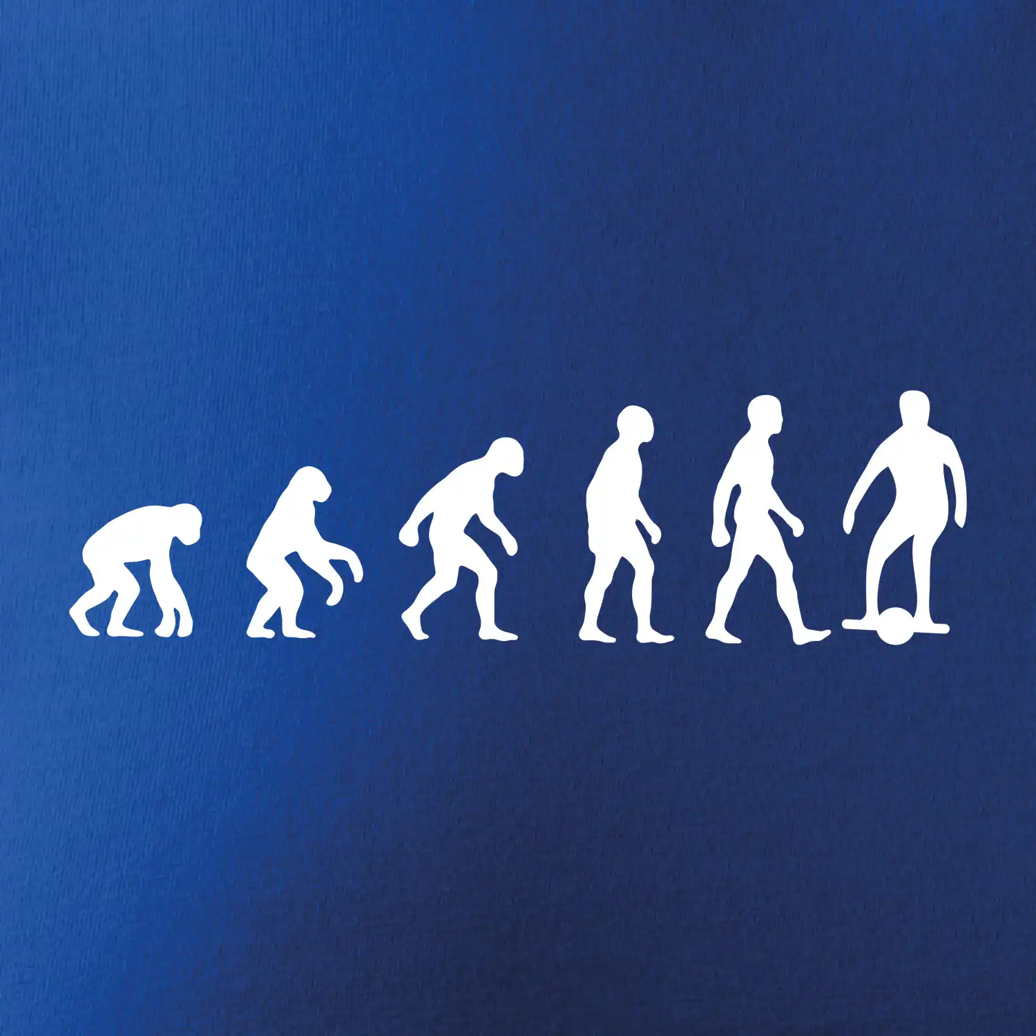 Evoluce onewheel