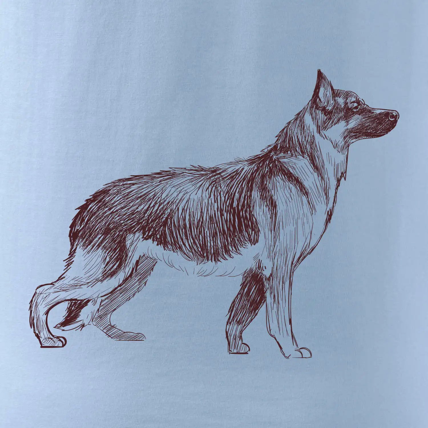 Německý ovčák -  kreslený skica