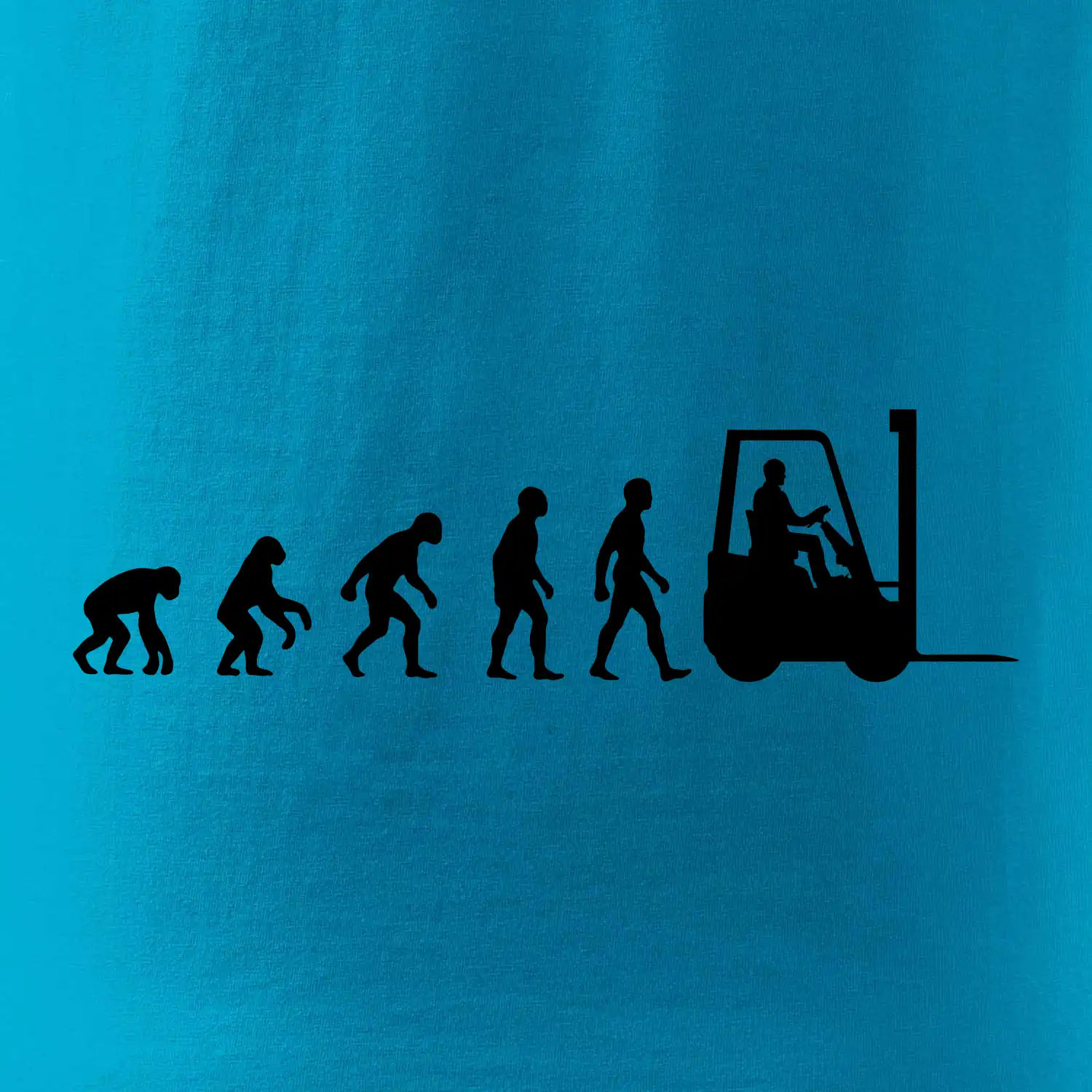 Evoluce ještěrka