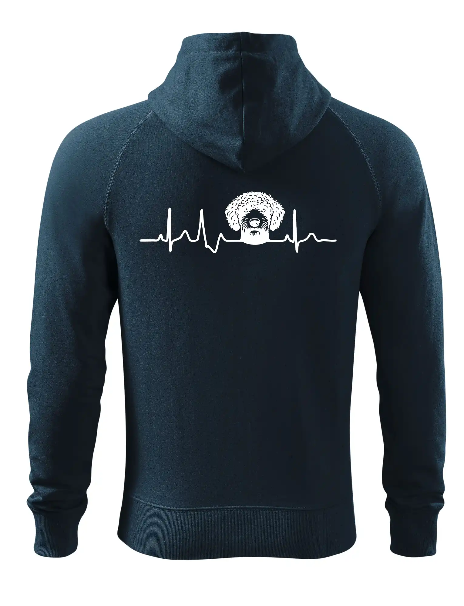 Lagotto romagnolo hlava EKG