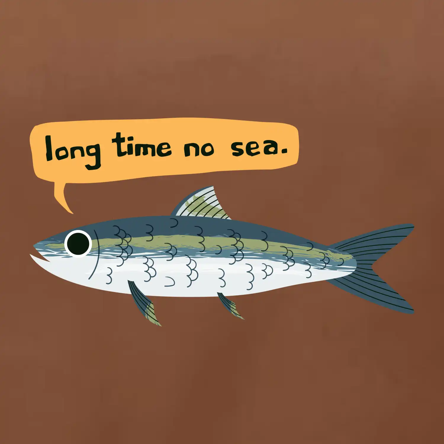 Long time no sea
