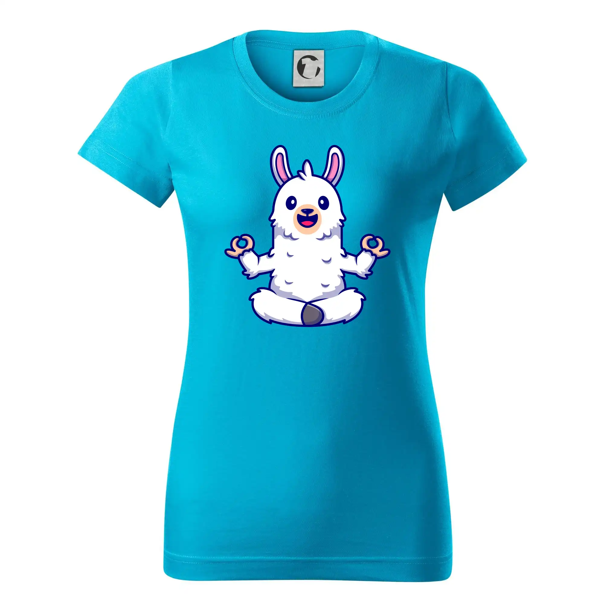 Yoga meditace - lama