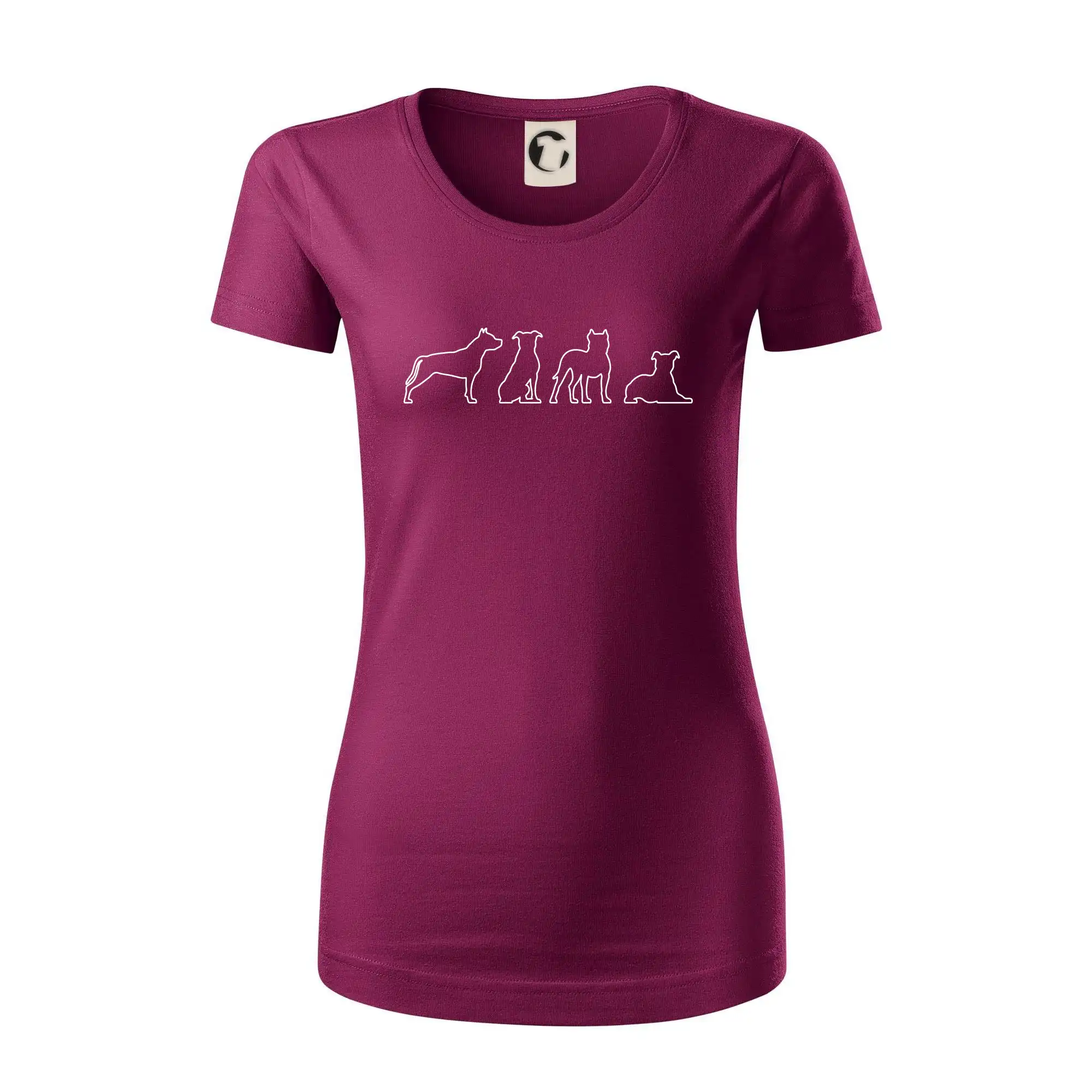 Americký stafordširský teriér v různých pozicích