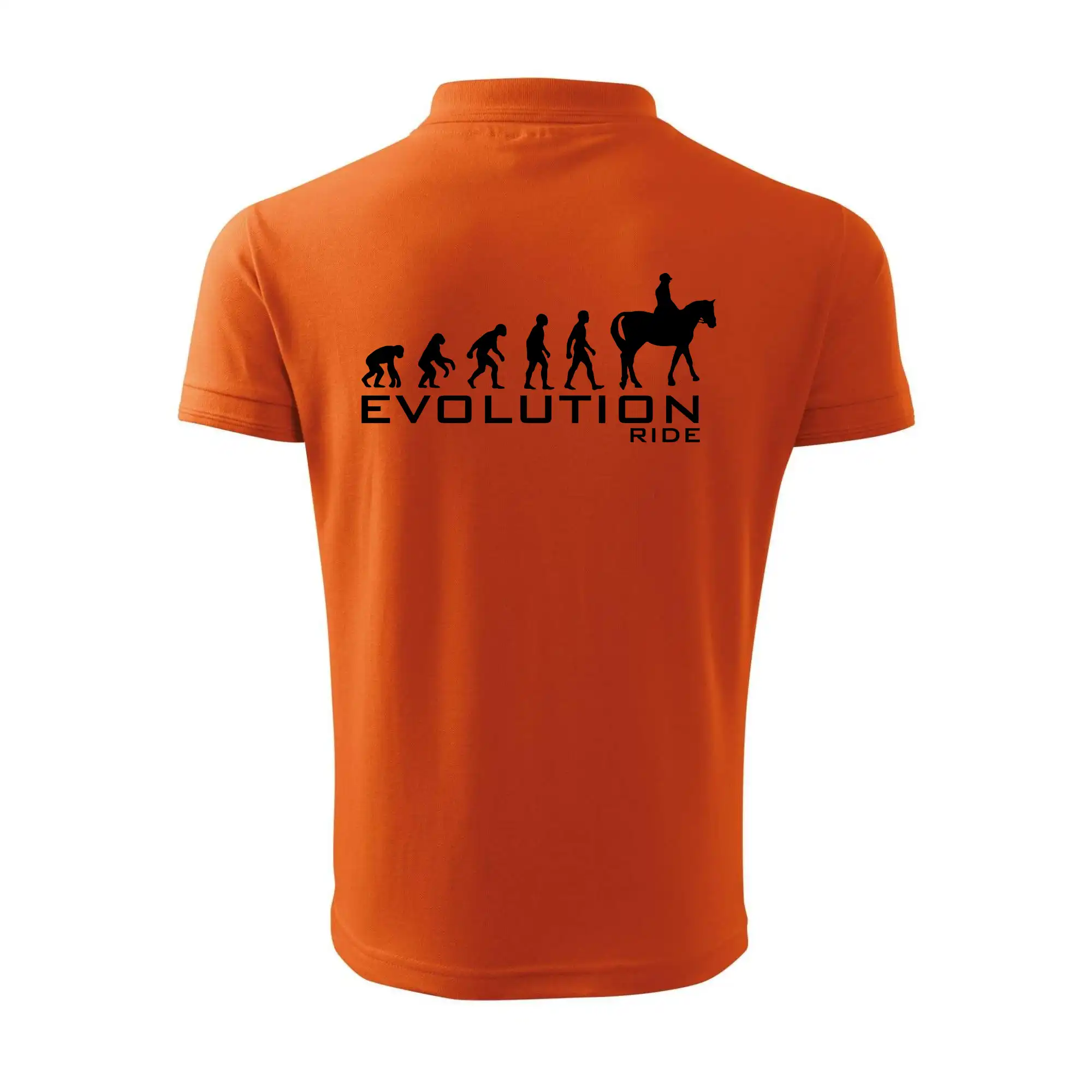 Evolúcia Ride horse