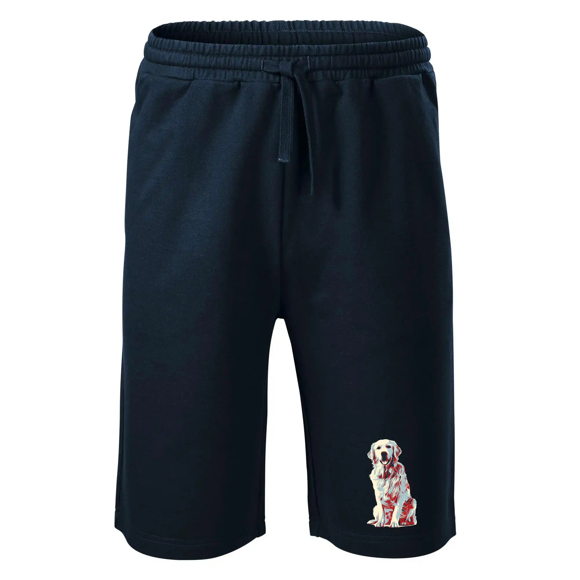 Zlatý retriever vintage