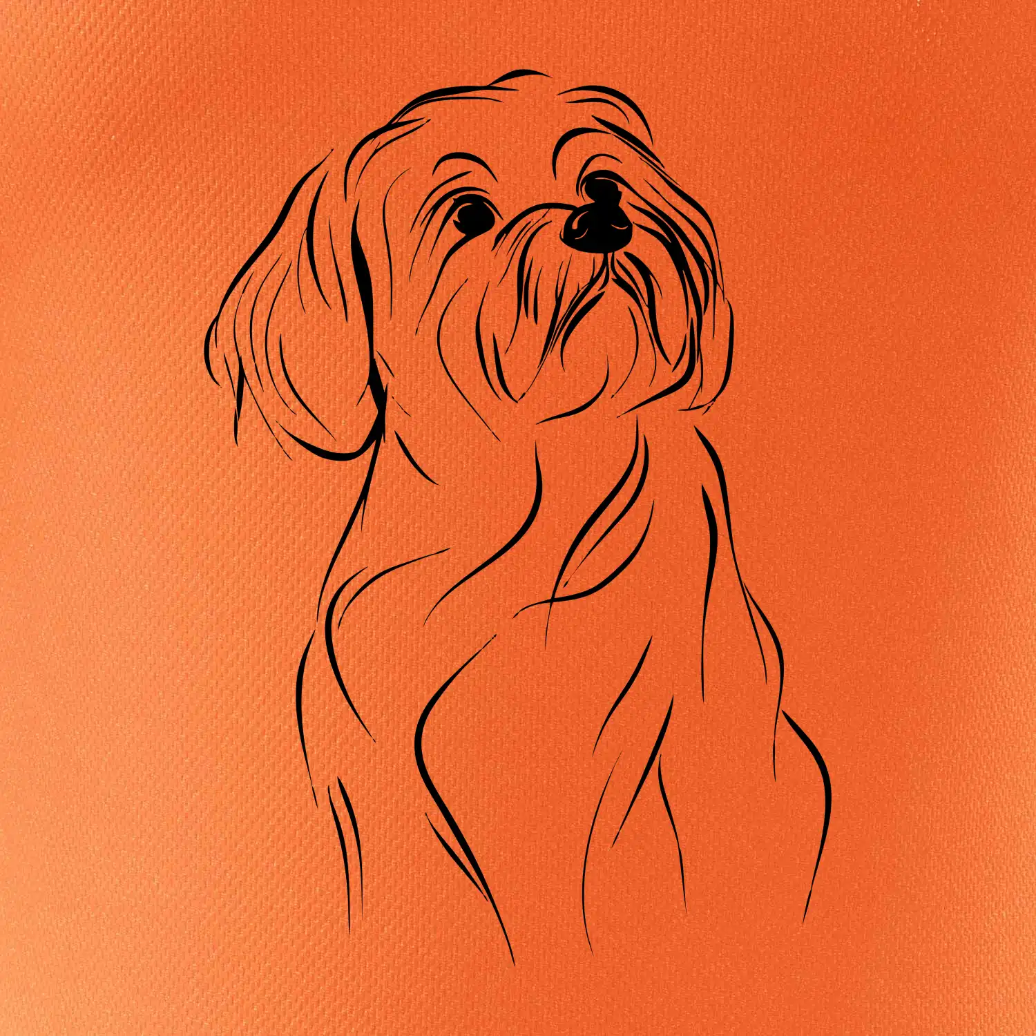 Lhasa Apso černý nákres slabé linky