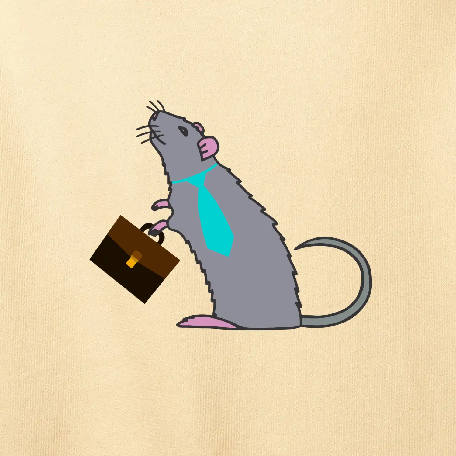 Krysa kancelářská barevná (Moňas)