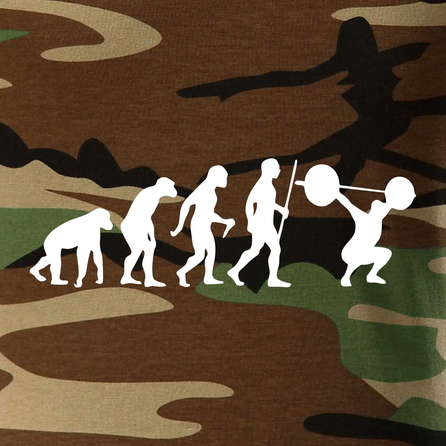 Evolution fitness