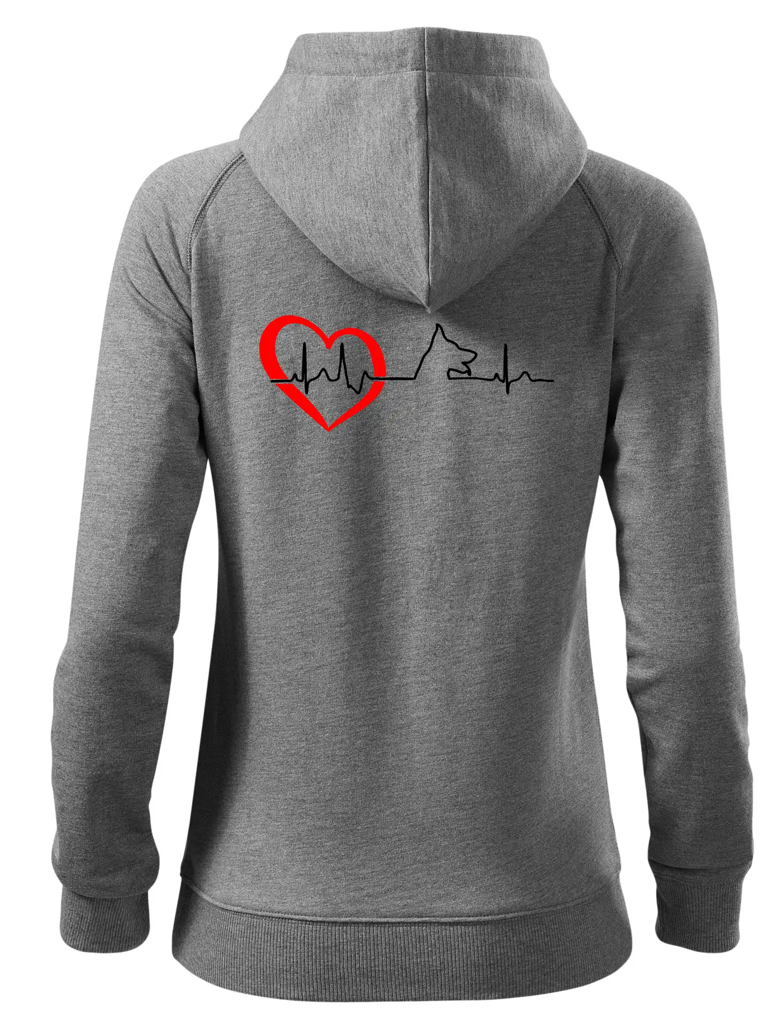 Německý ovčák ekg