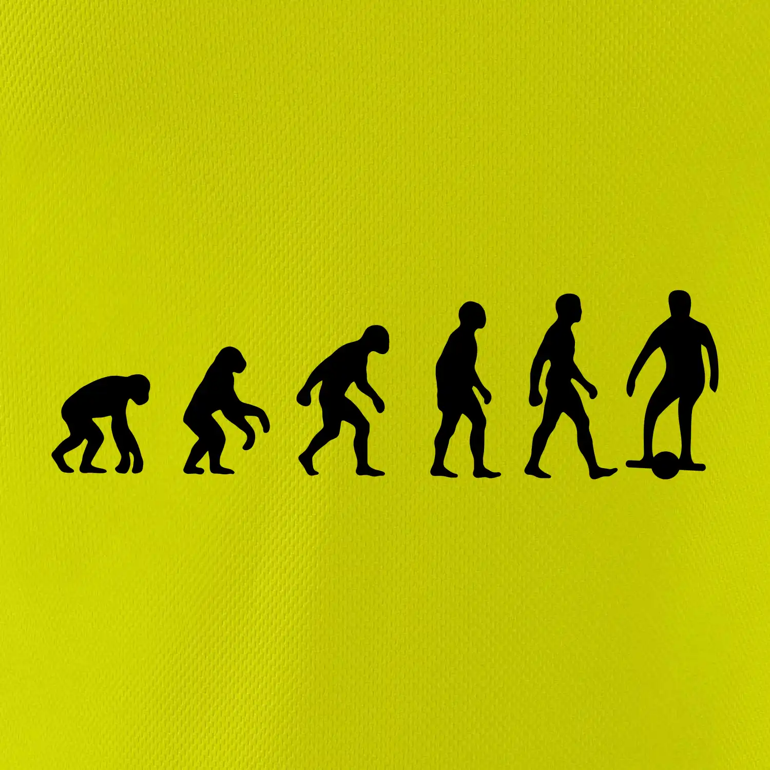Evoluce onewheel