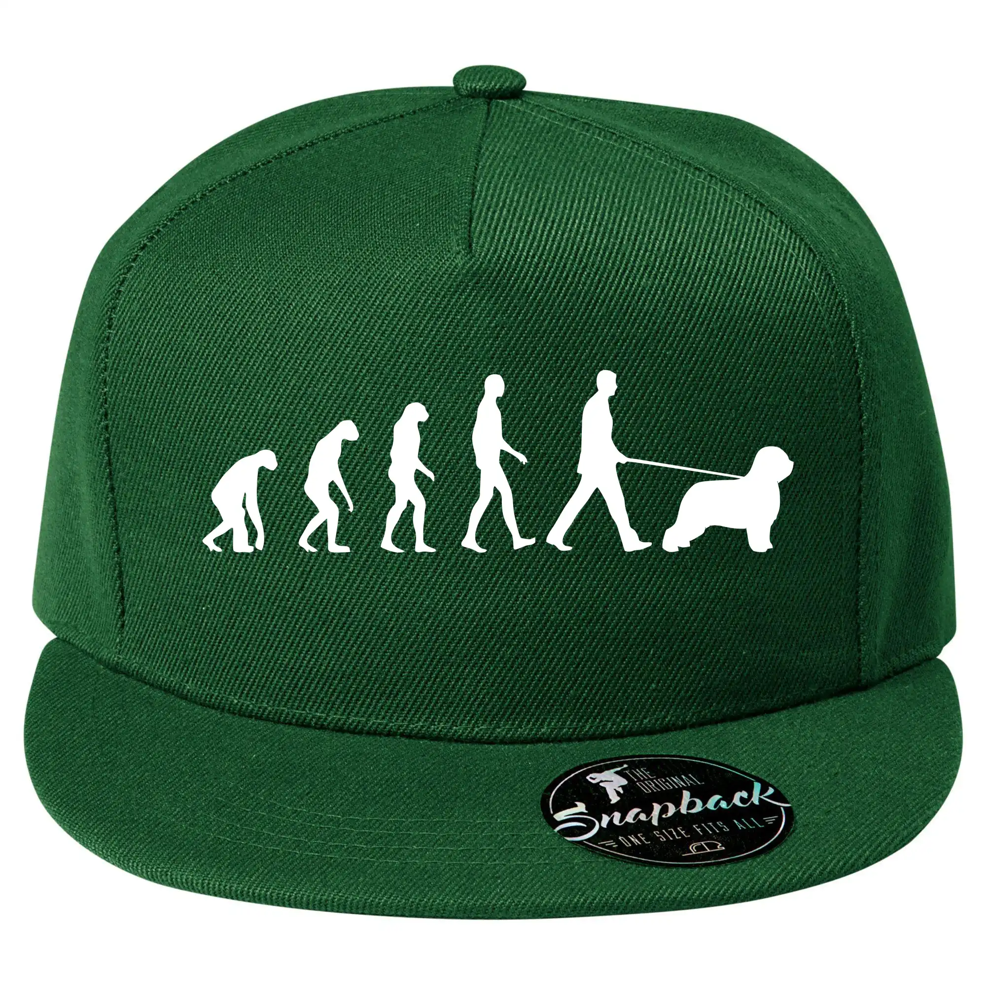 Evoluce pes Briard