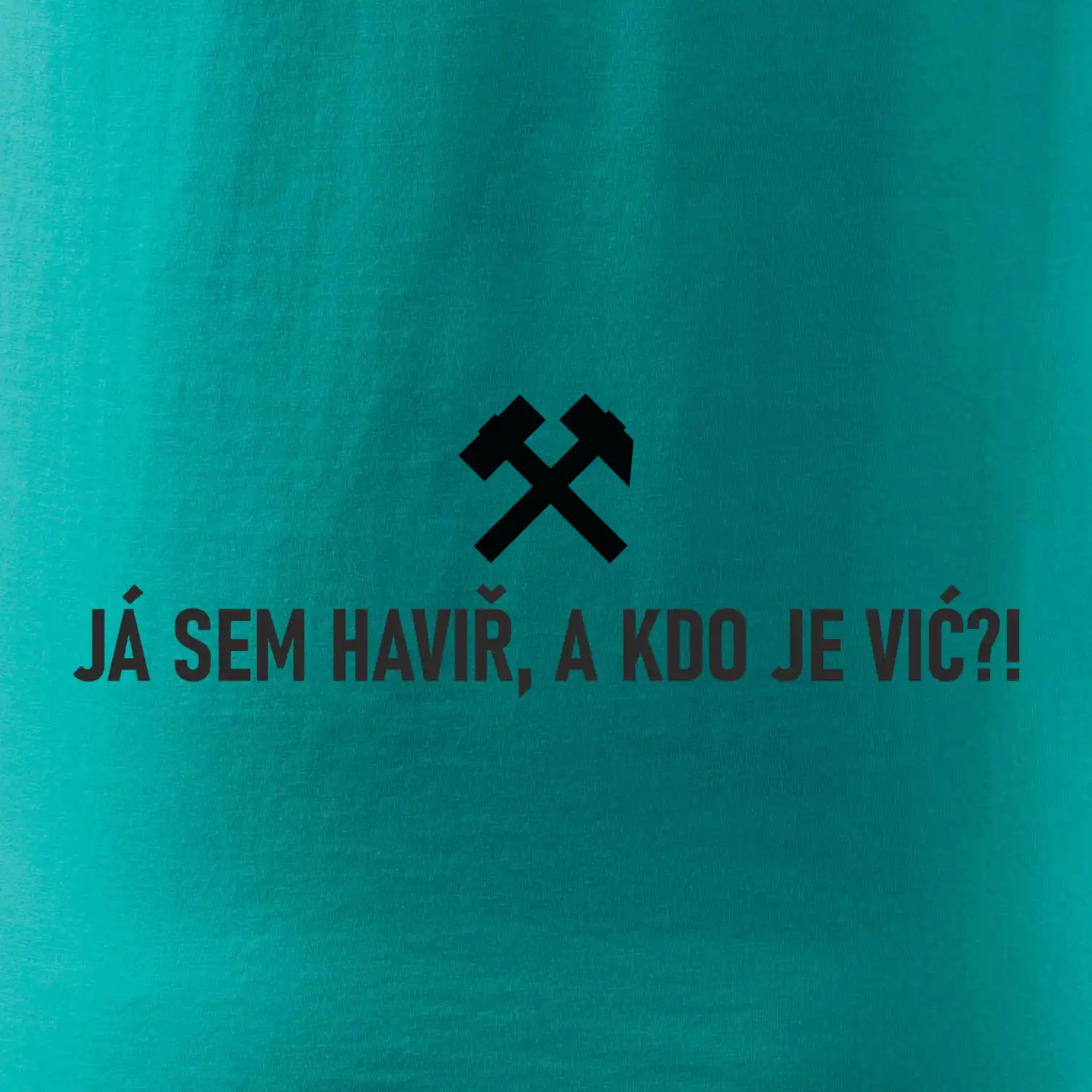 JÁ SEM HAVIŘ, A KDO JE VIĆ?!﻿