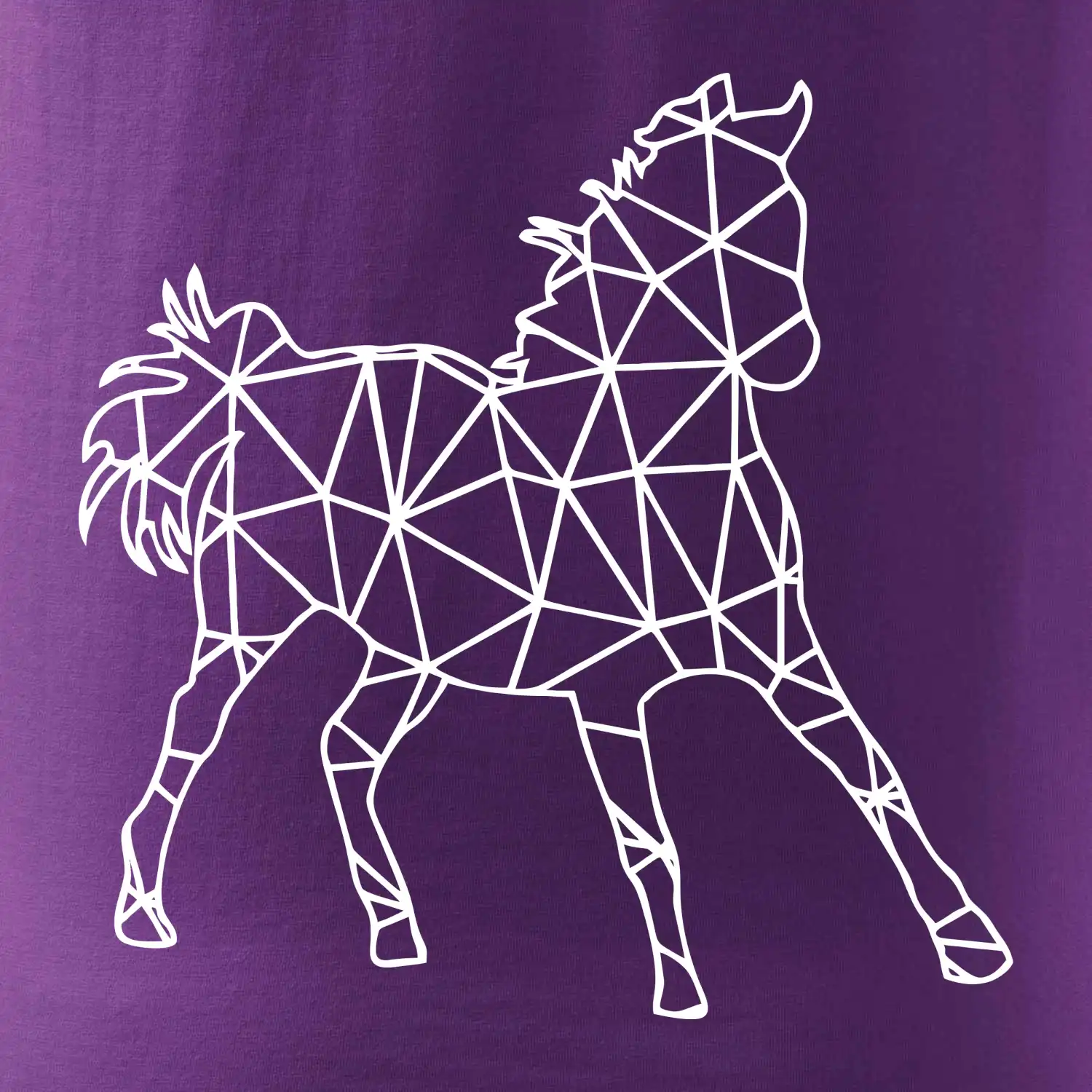 Geometrie - kůň jednobarevná