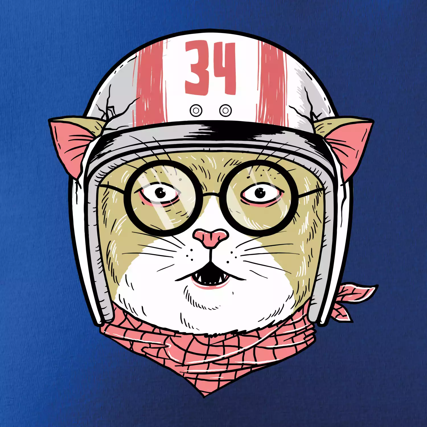 Moto kočka