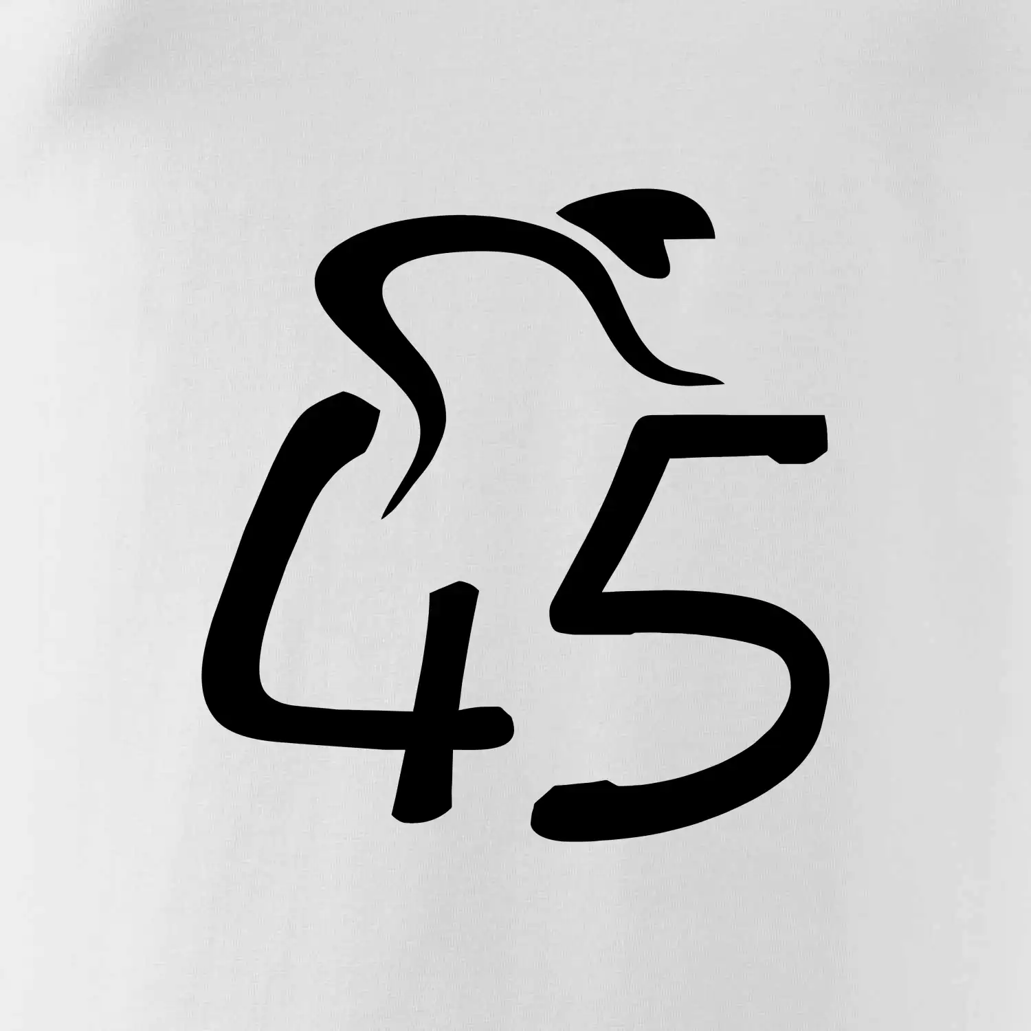 Cyklista slaví pětačtyřicítku (45)