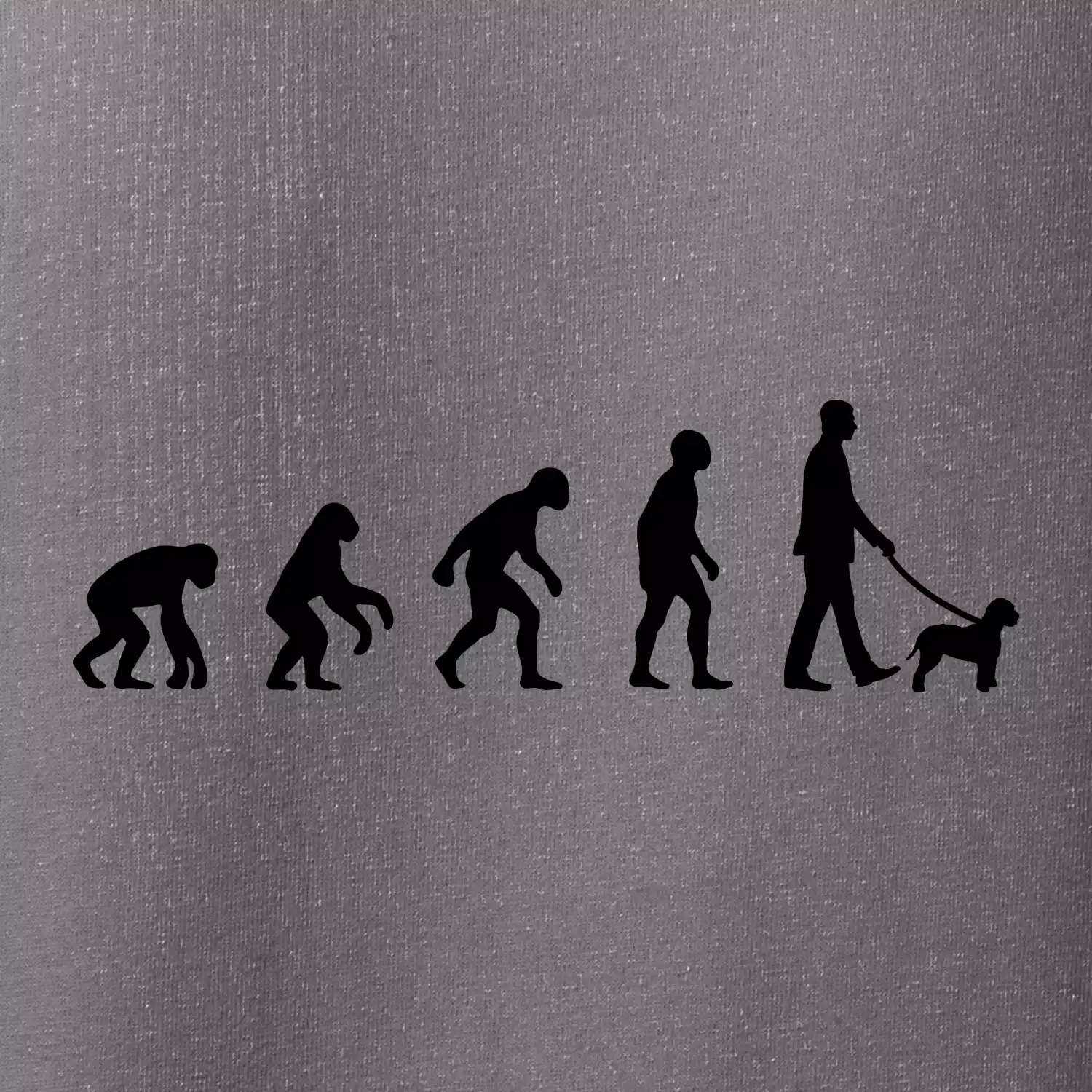 Lagotto romagnolo Evoluce