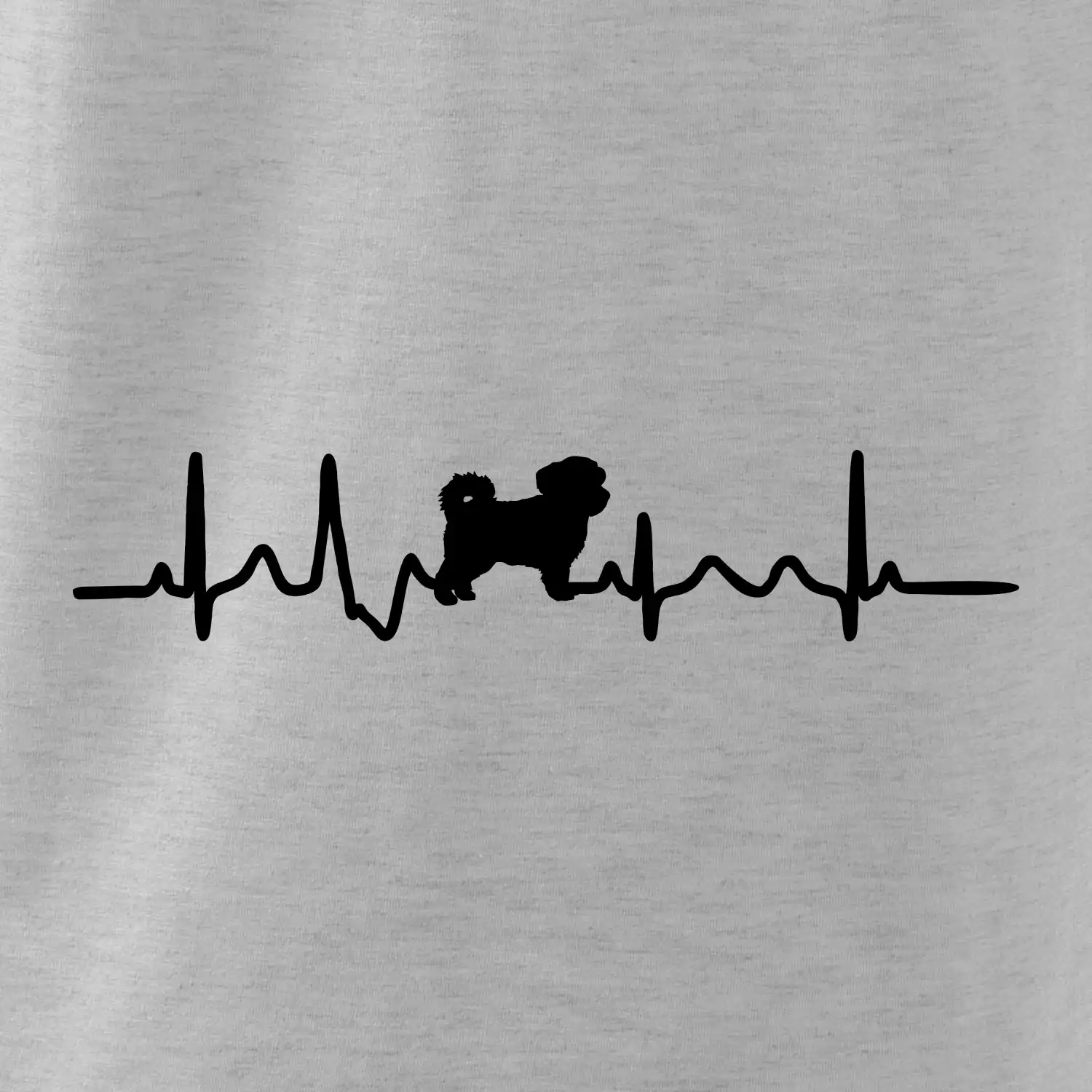 Havanský psík ekg