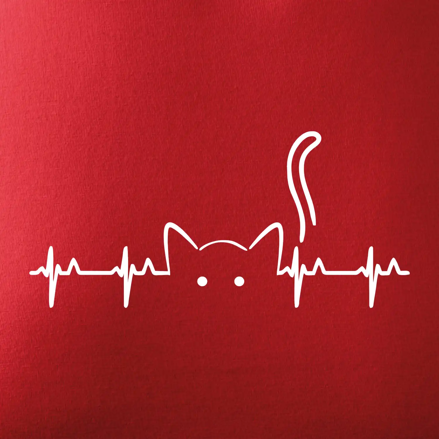 Kočka EKG