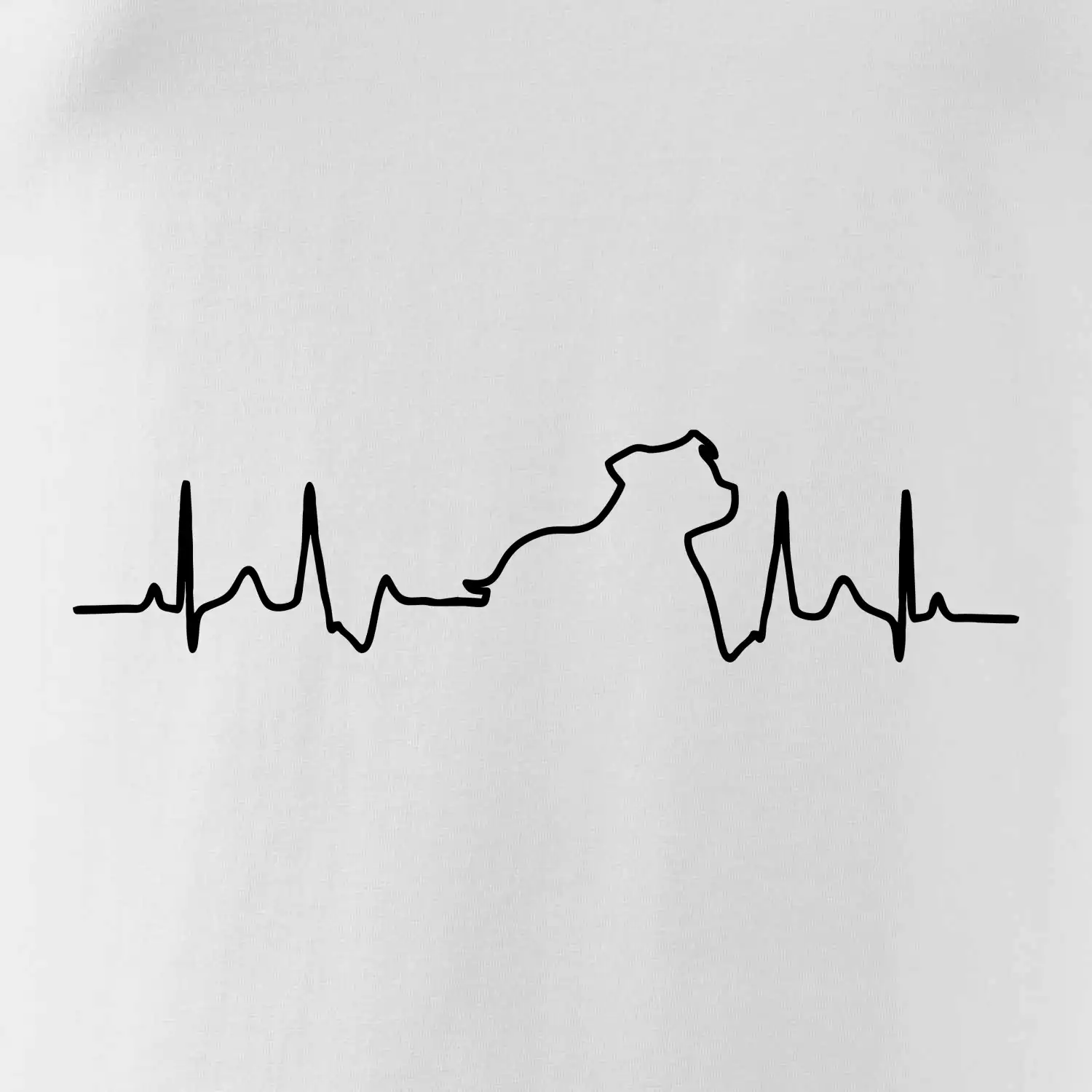 Stafordšírsky bulteriér EKG