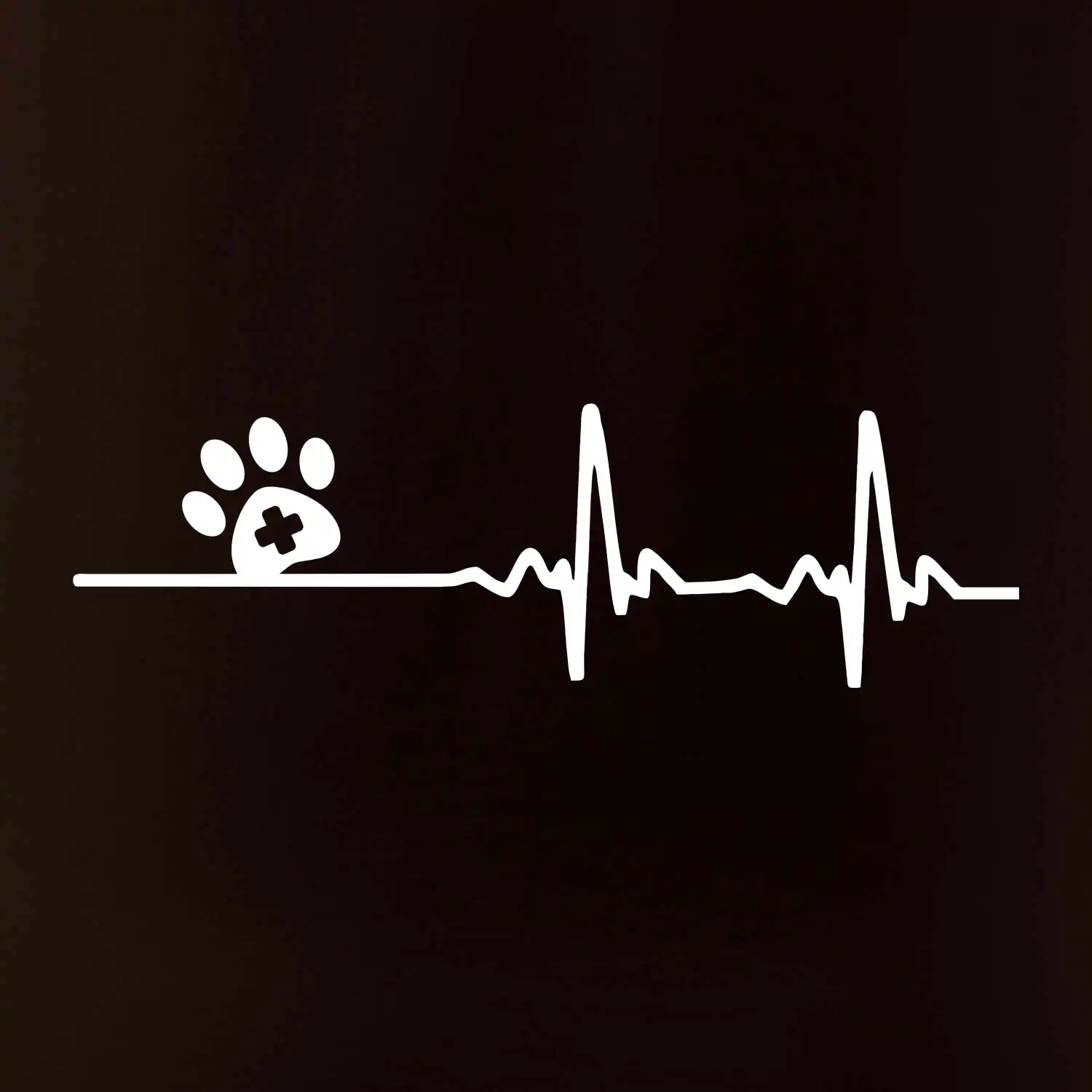 Veterinář EKG