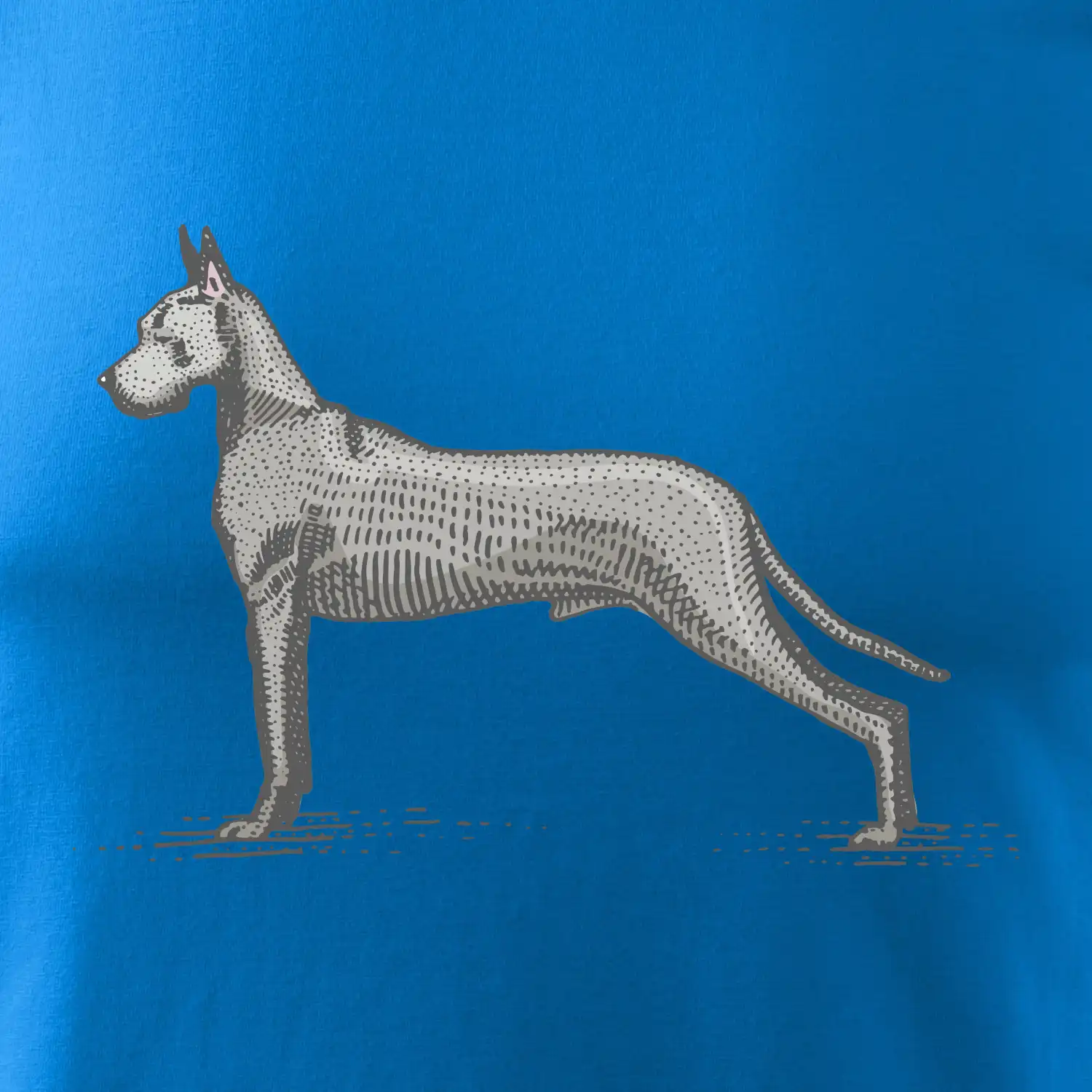 Vintage Great dane