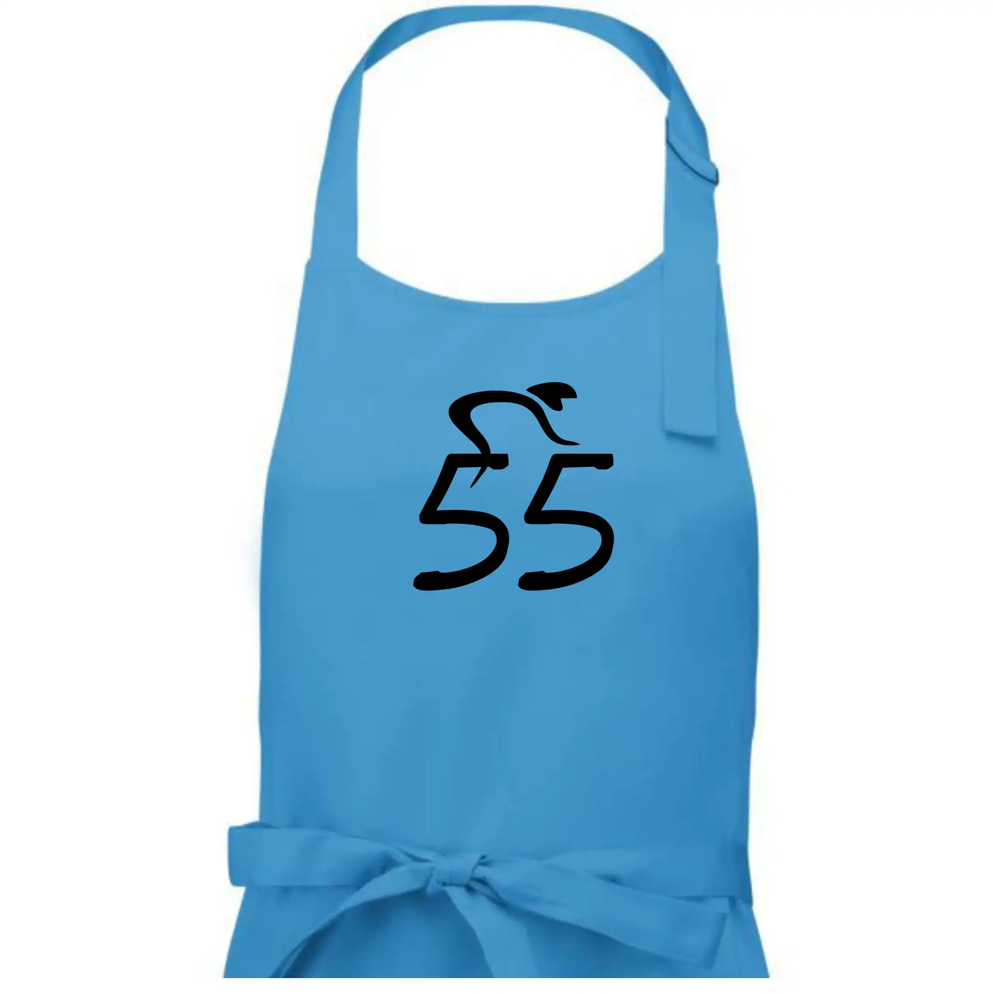 Cyklista slaví pětapadesátku (55)