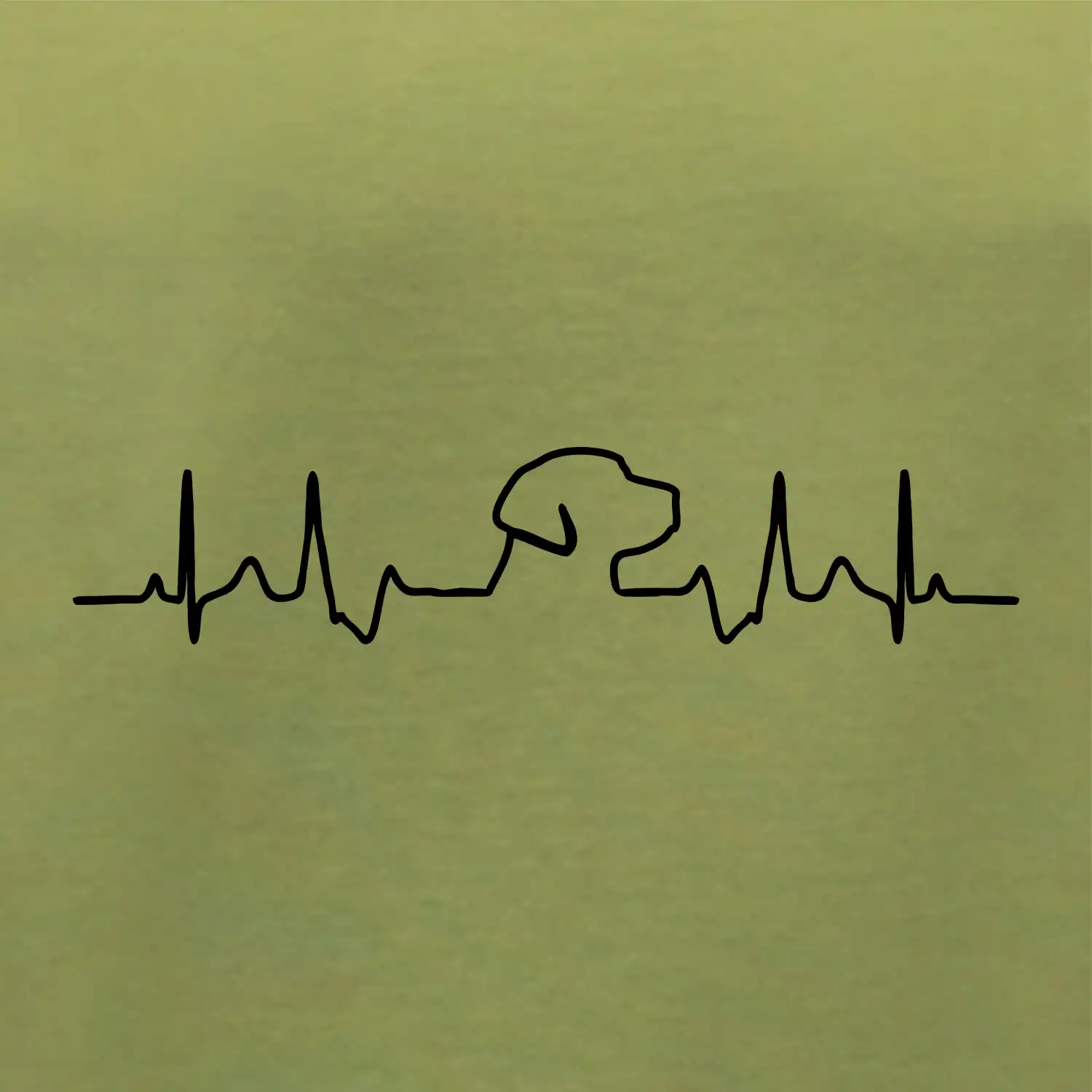 Labrador EKG