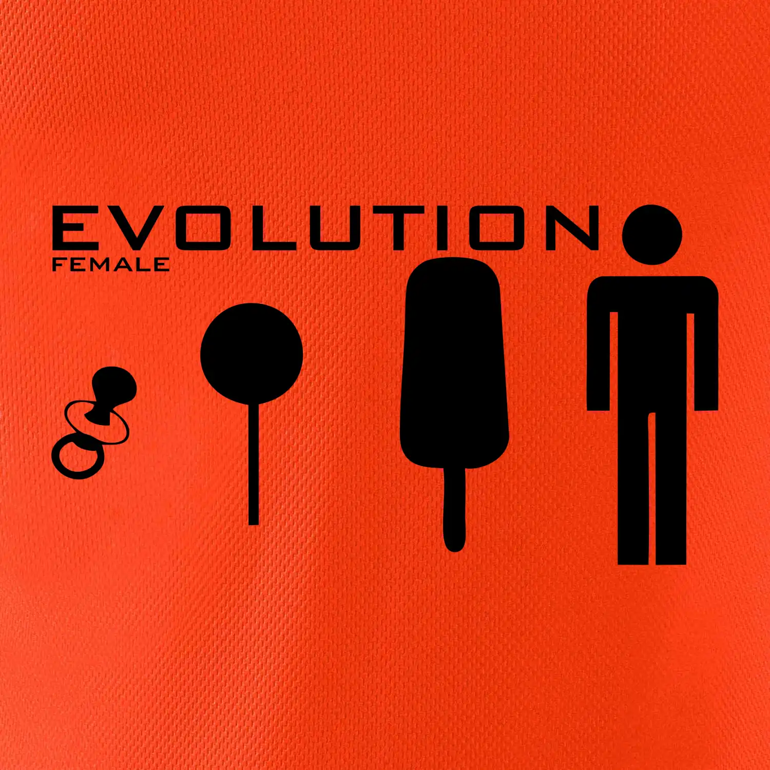 Evoluce ženy
