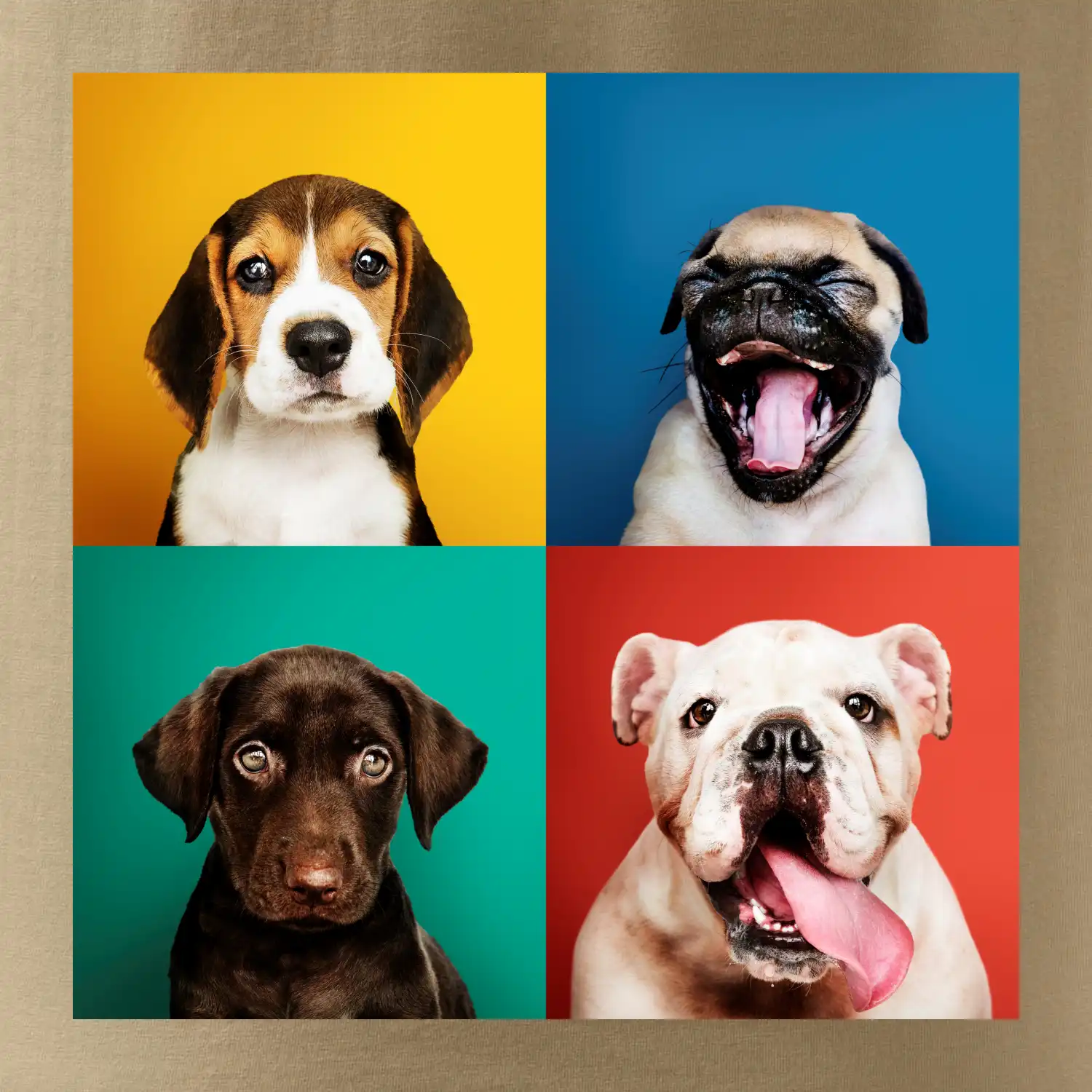 Psi štěňata koláž