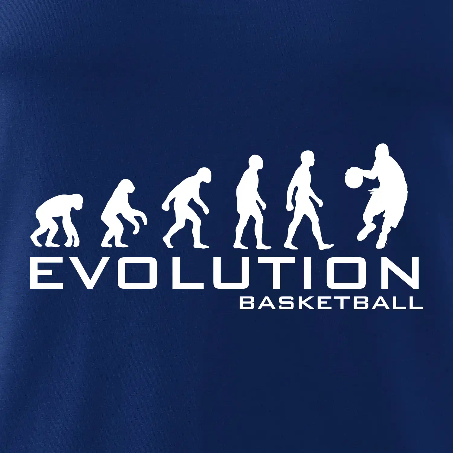 Evoluce Basketball